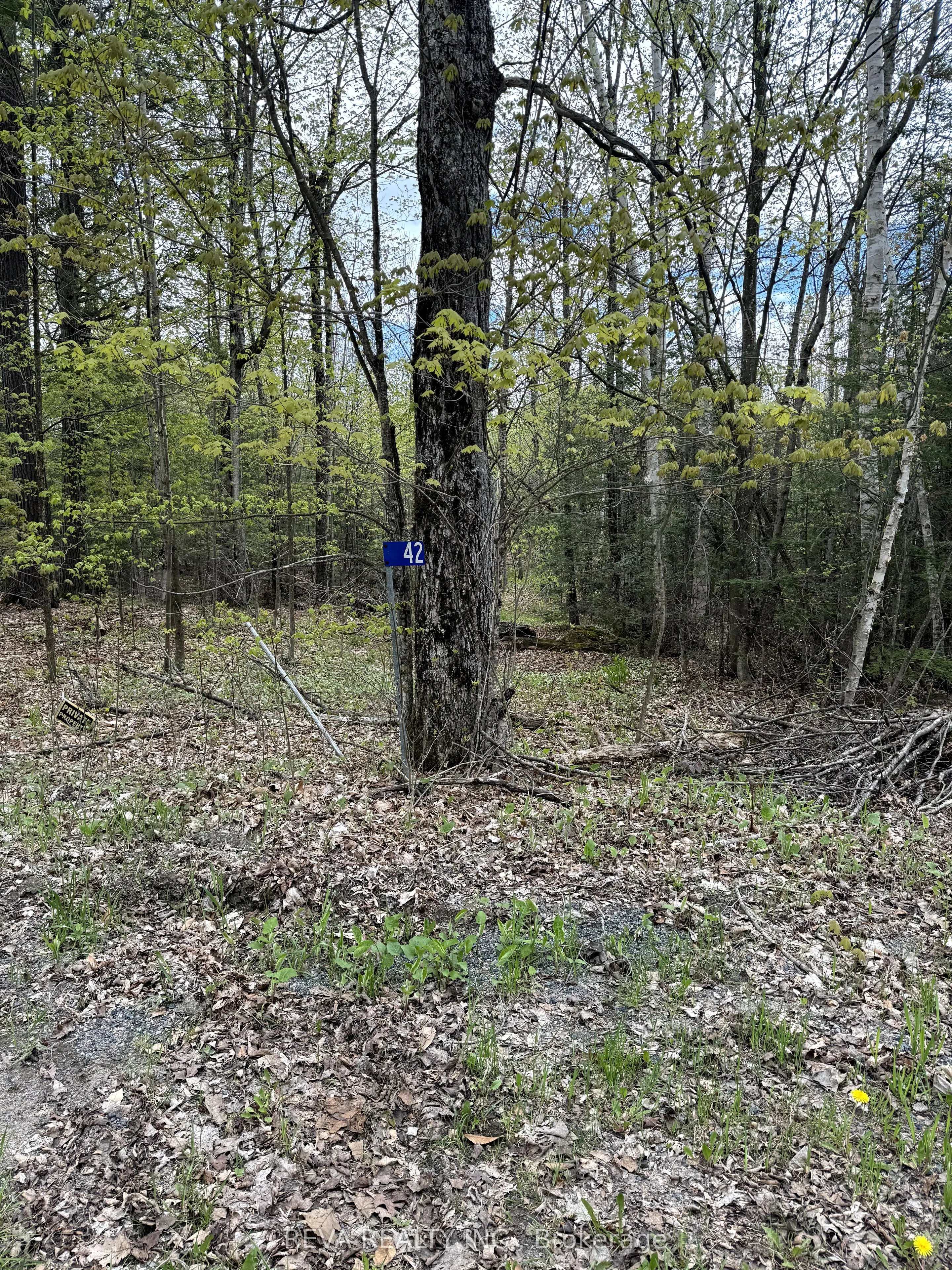42 Clear Lake Court
