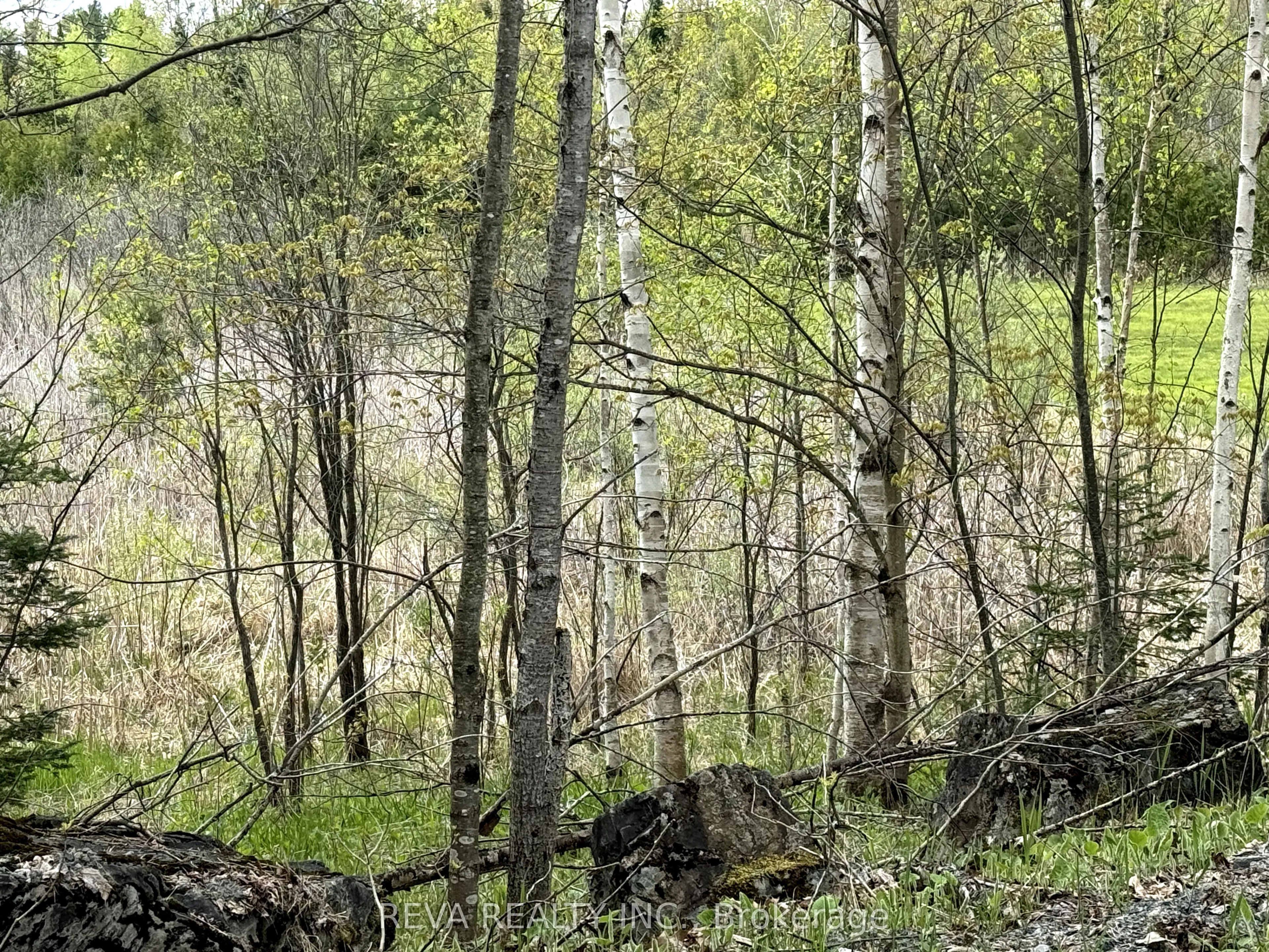 42 Clear Lake Court