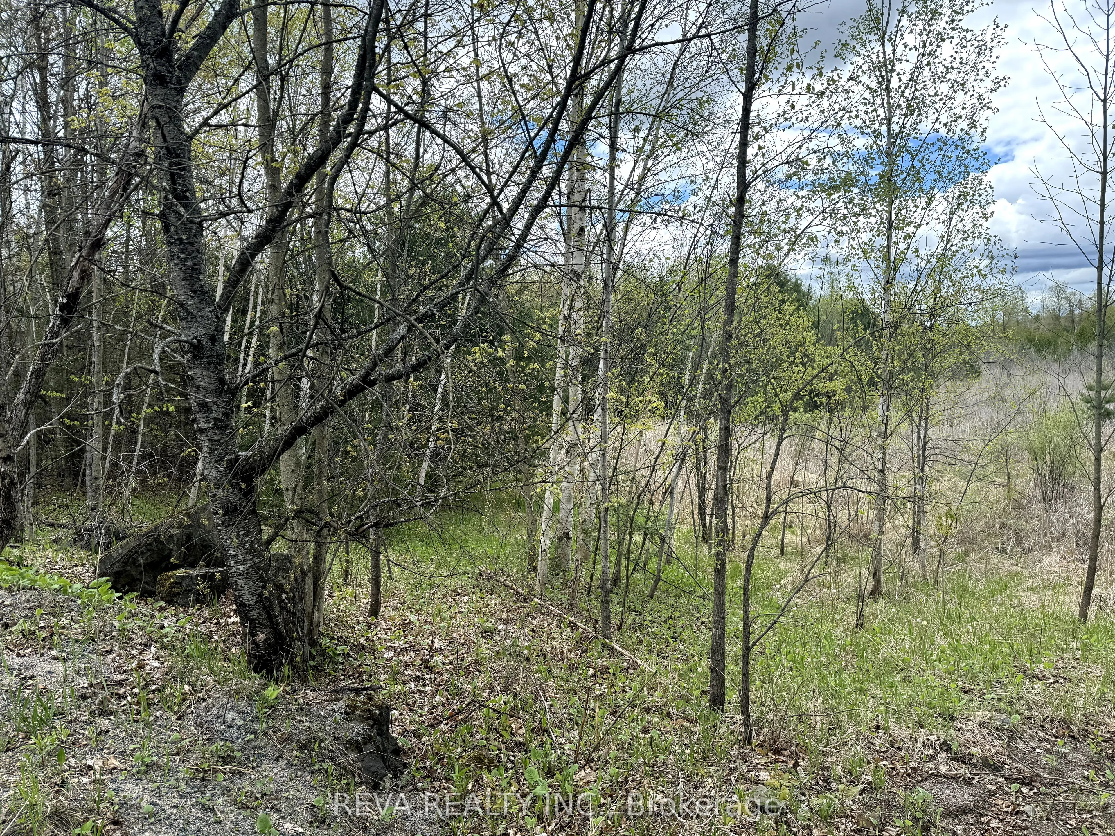 42 Clear Lake Court
