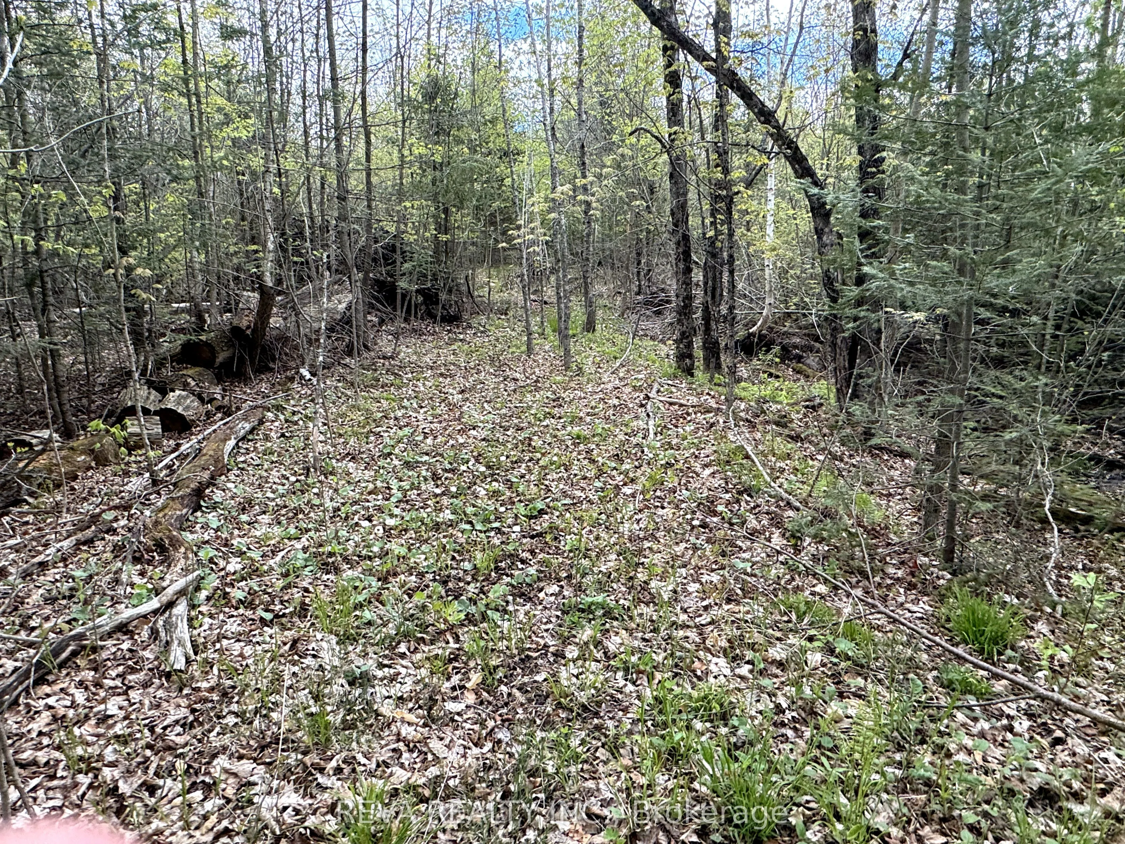 42 Clear Lake Court