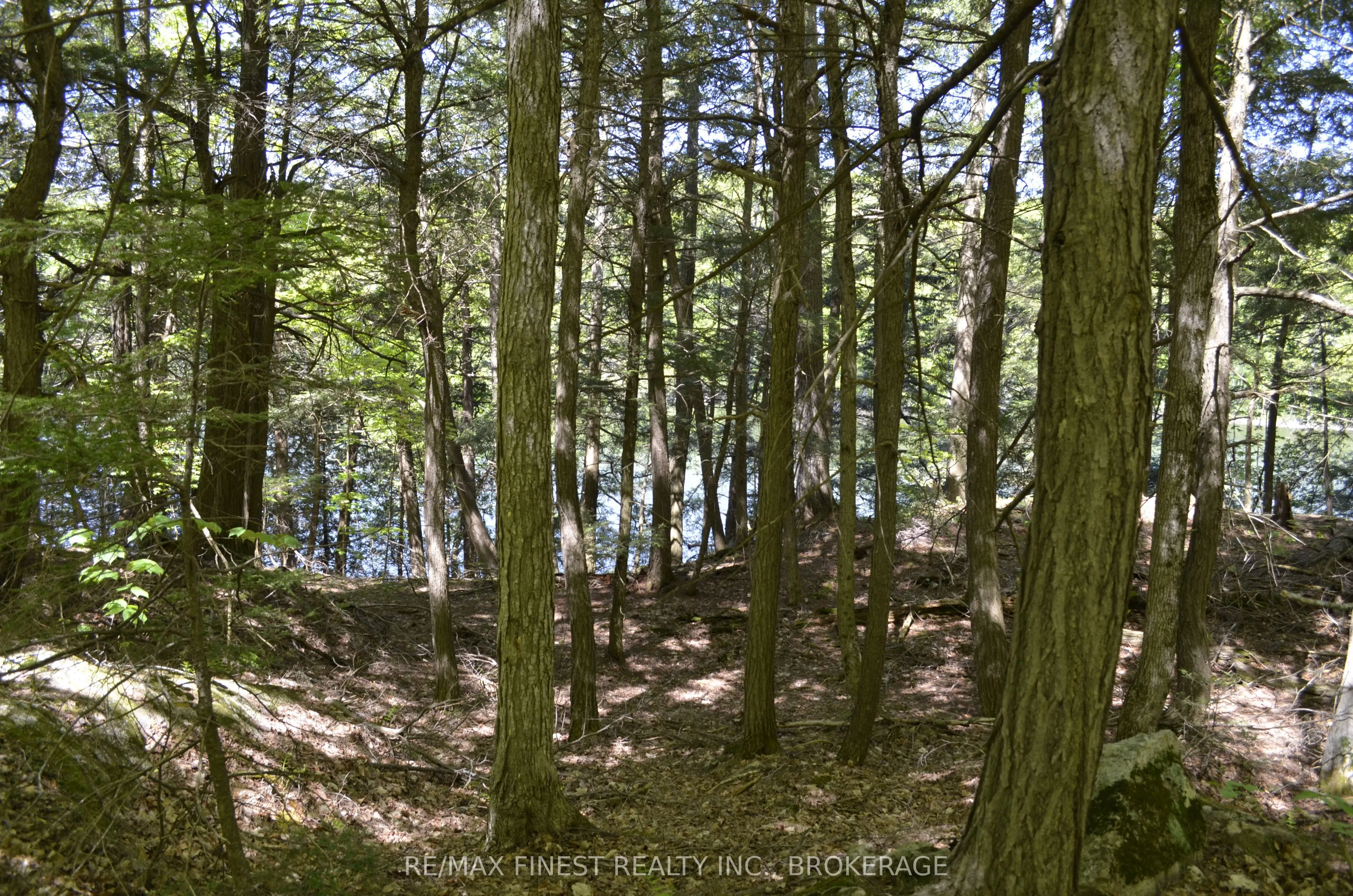 734 Sherbrooke Drive