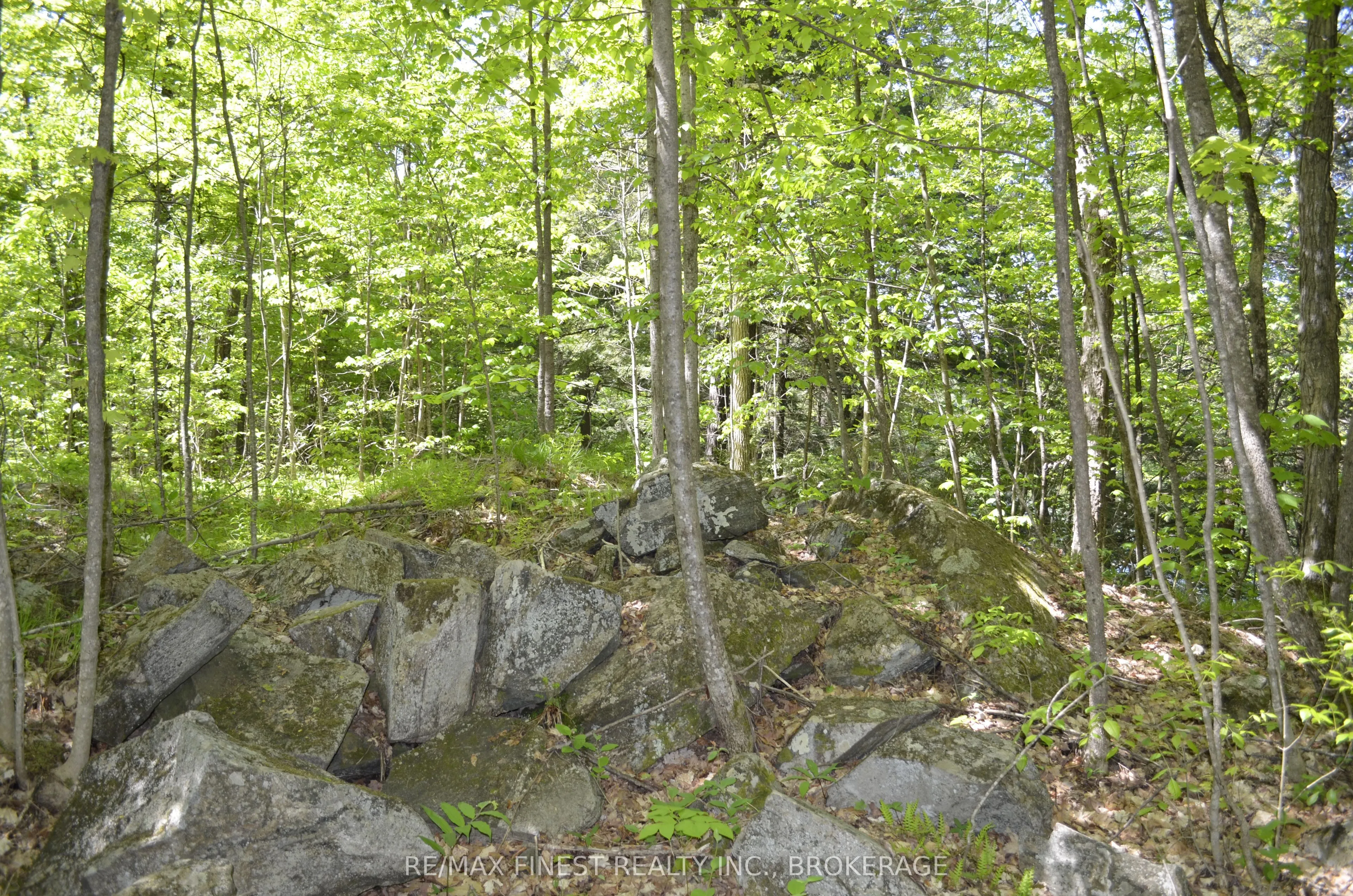 734 Sherbrooke Drive