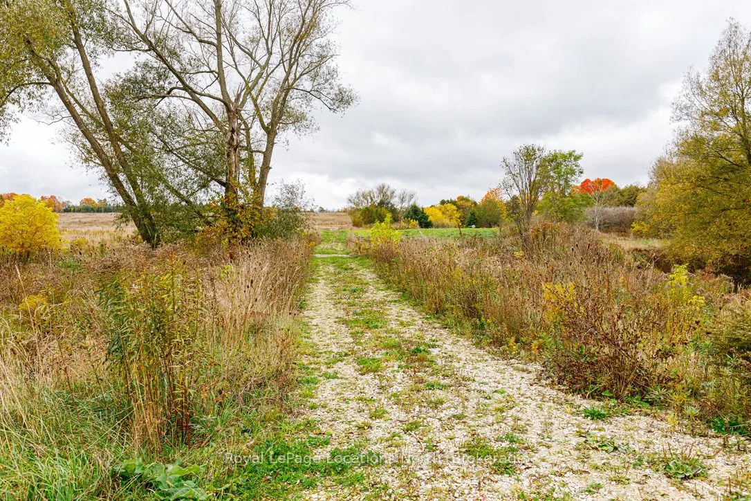 137662 GREY ROAD 12