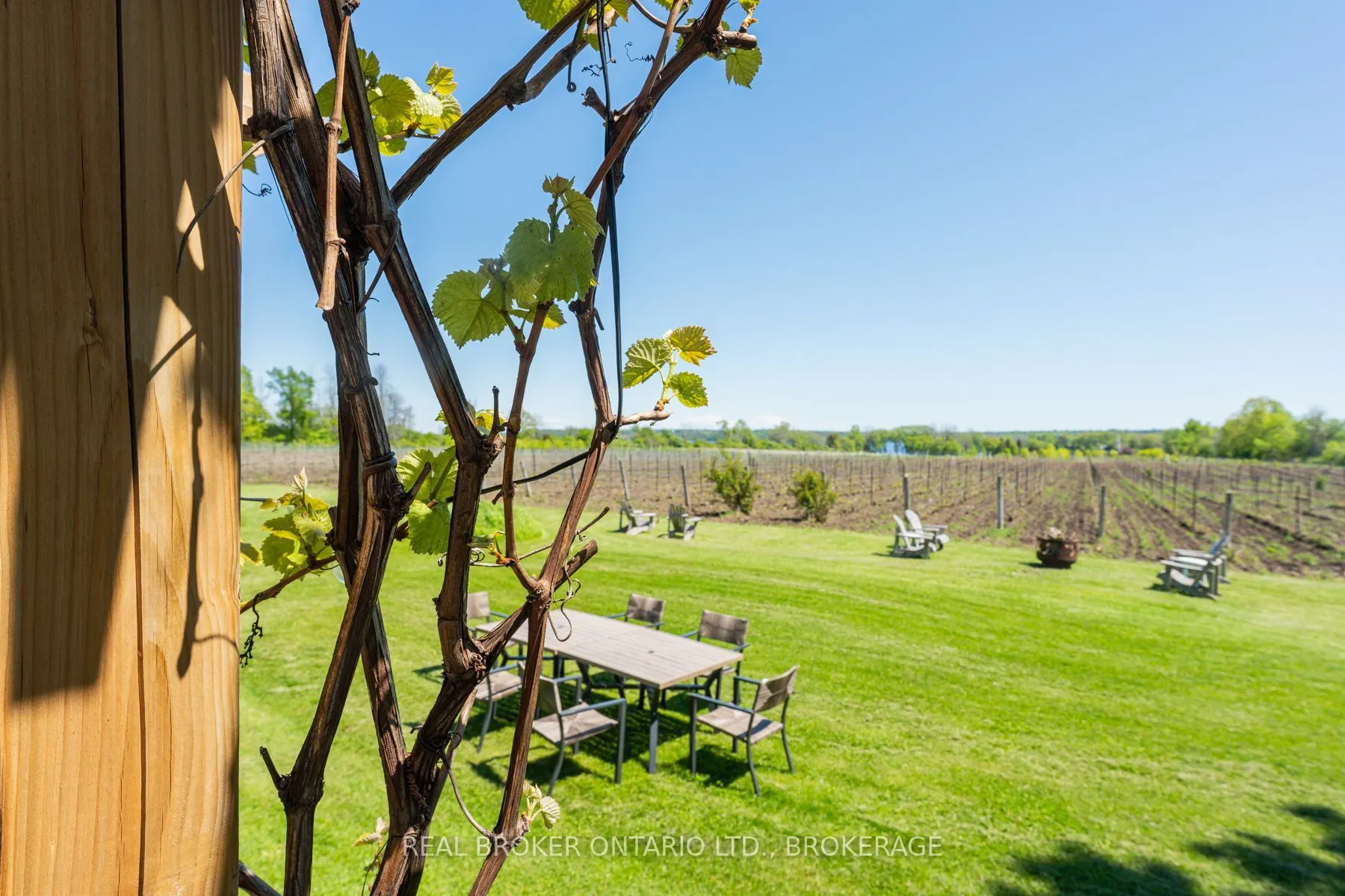 9656 Loyalist Parkway