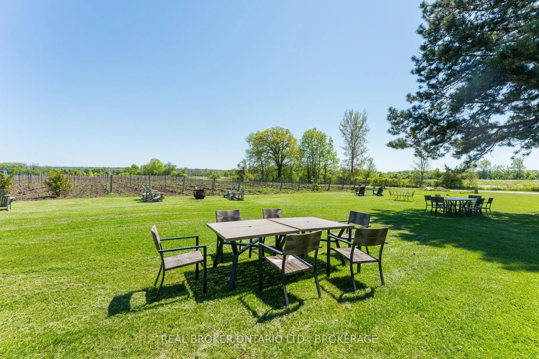 9656 Loyalist Parkway