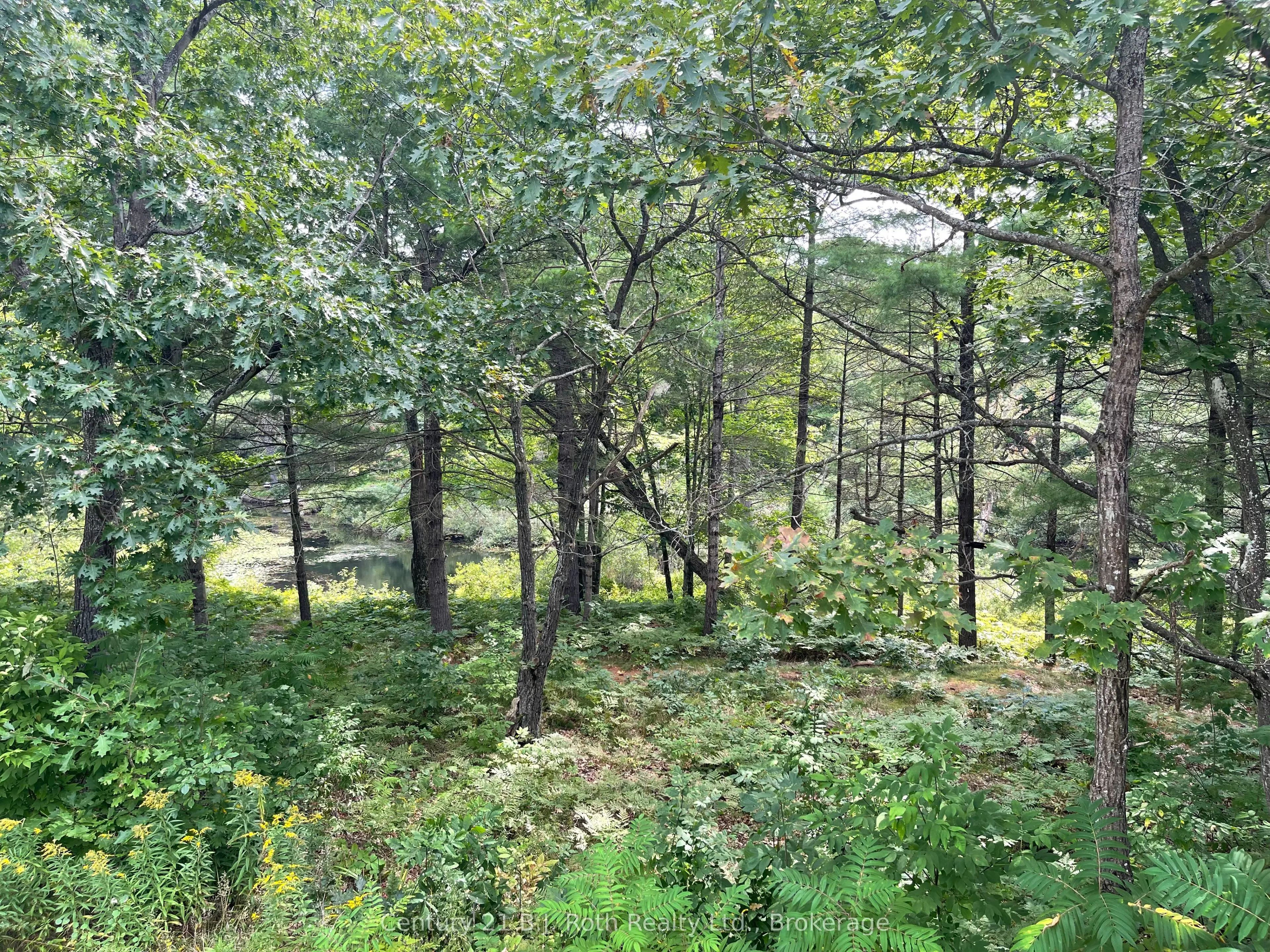 1336 SOUTH MORRISON LAKE Road, #3 Morrison Creek