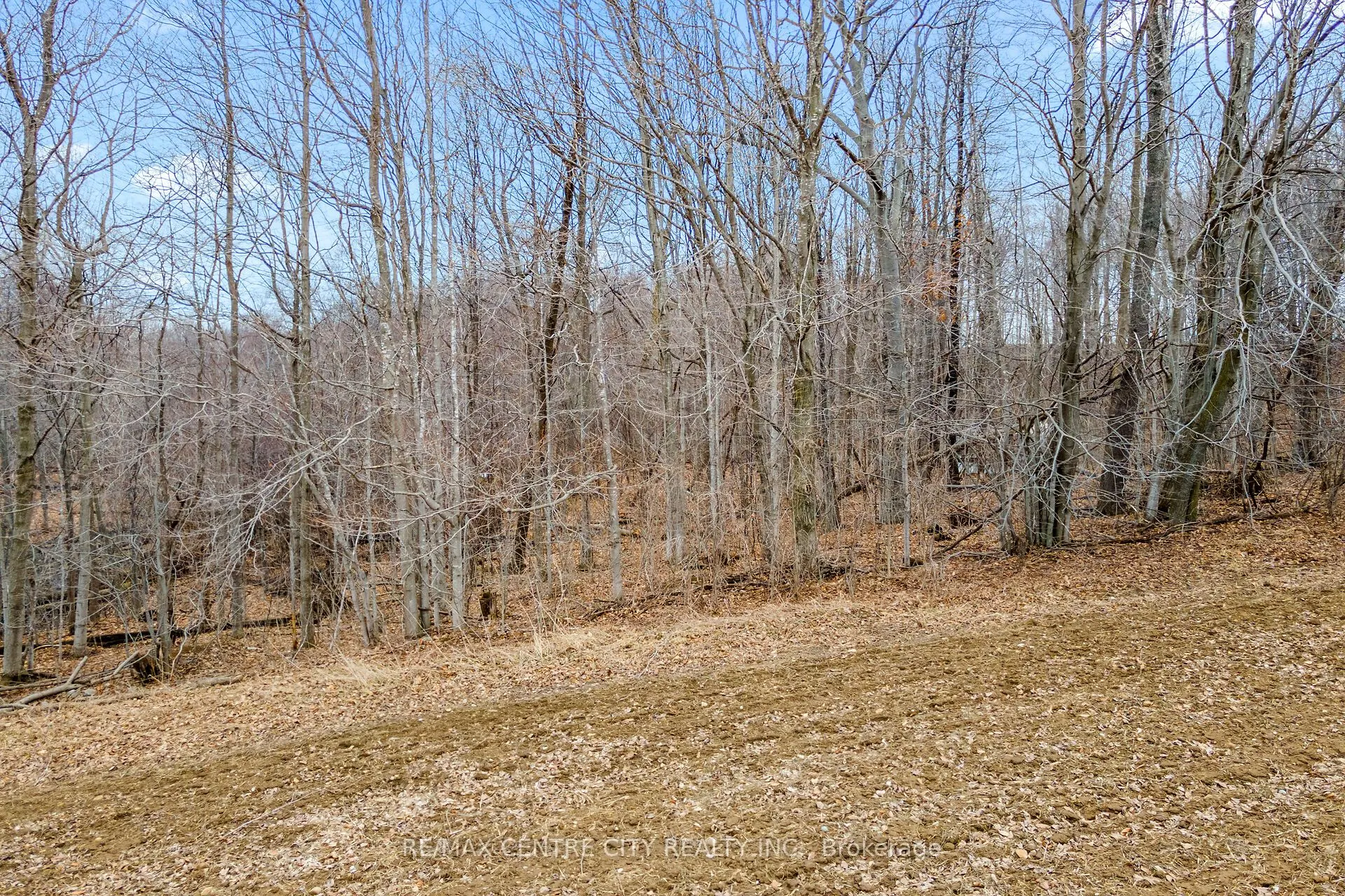 81081 River Line