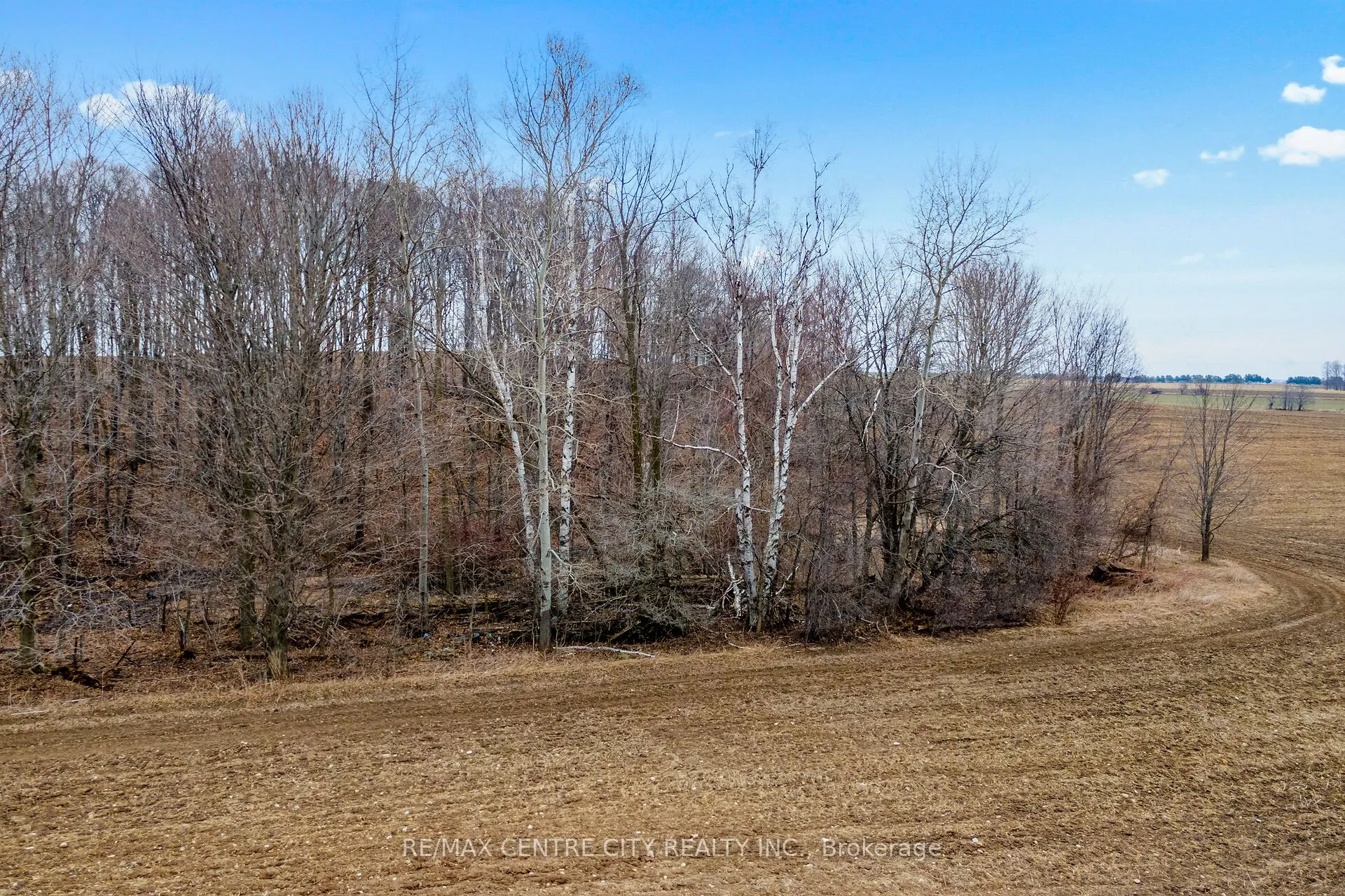81081 River Line