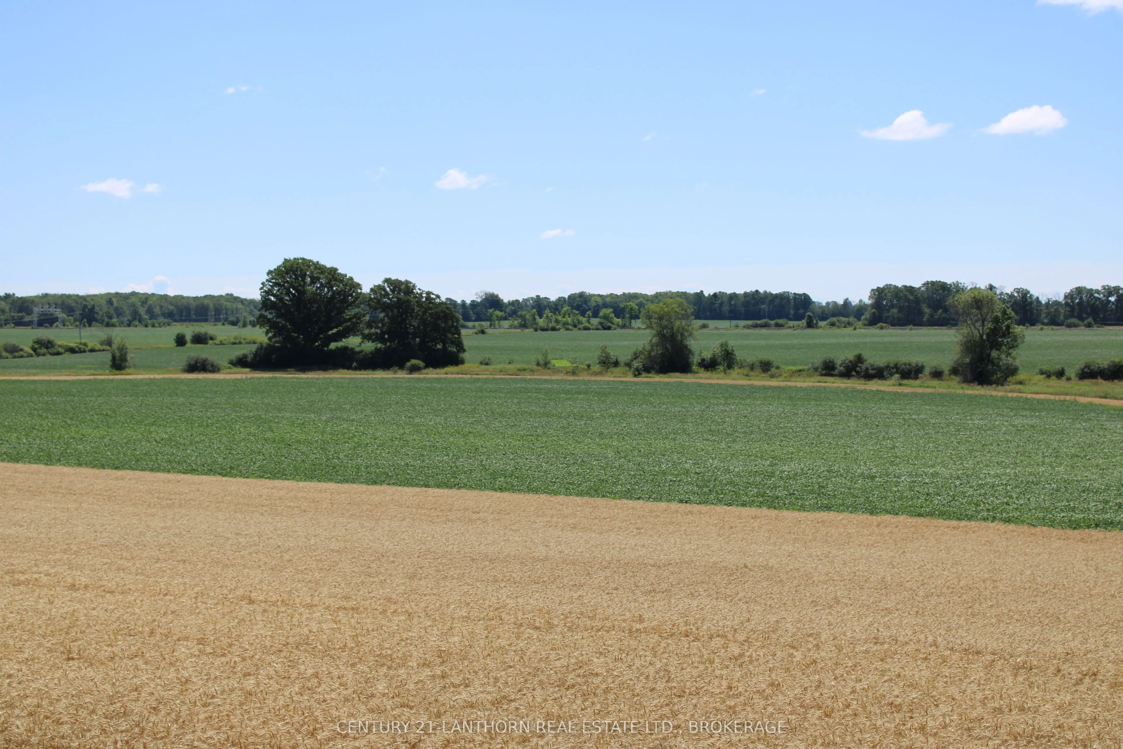 LT15-16 COUNTY ROAD 1 W