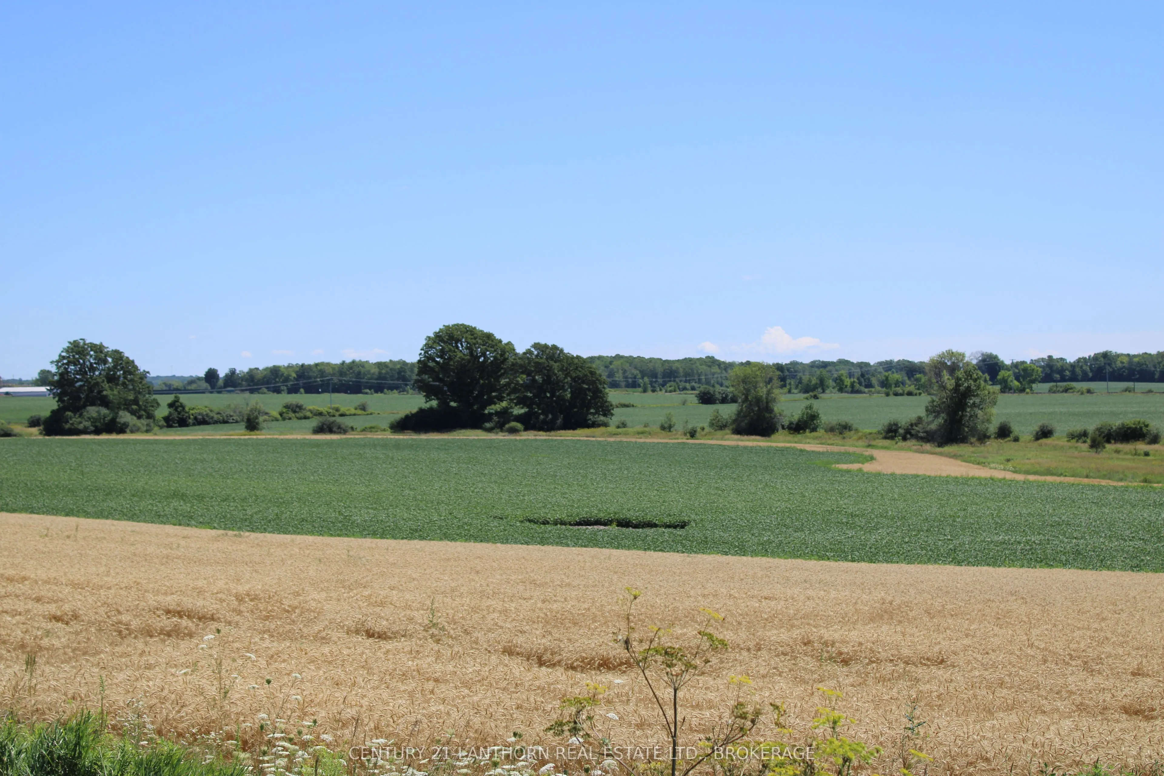 LT15-16 COUNTY ROAD 1 W