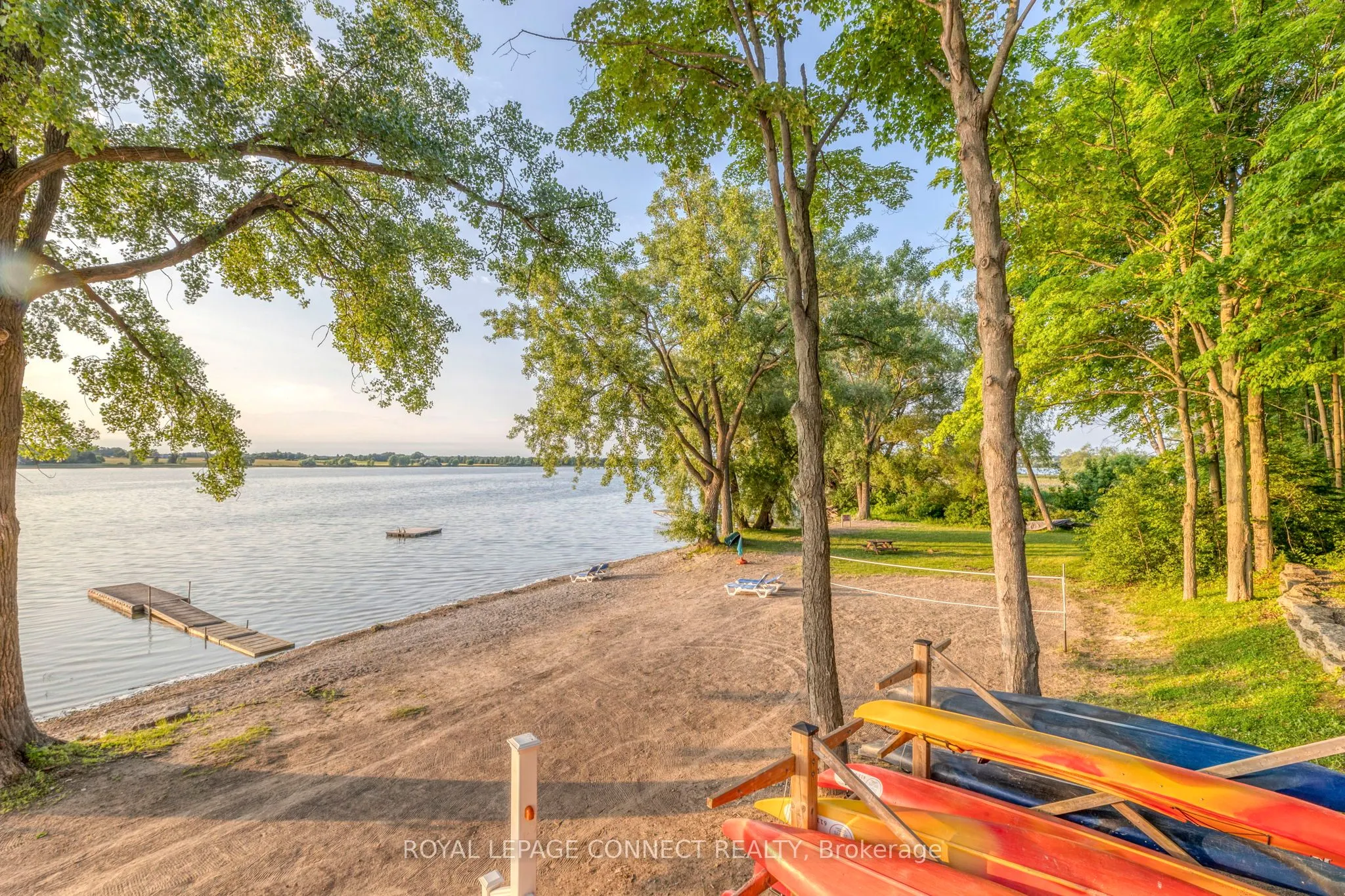 20 Butternut Lane, #98