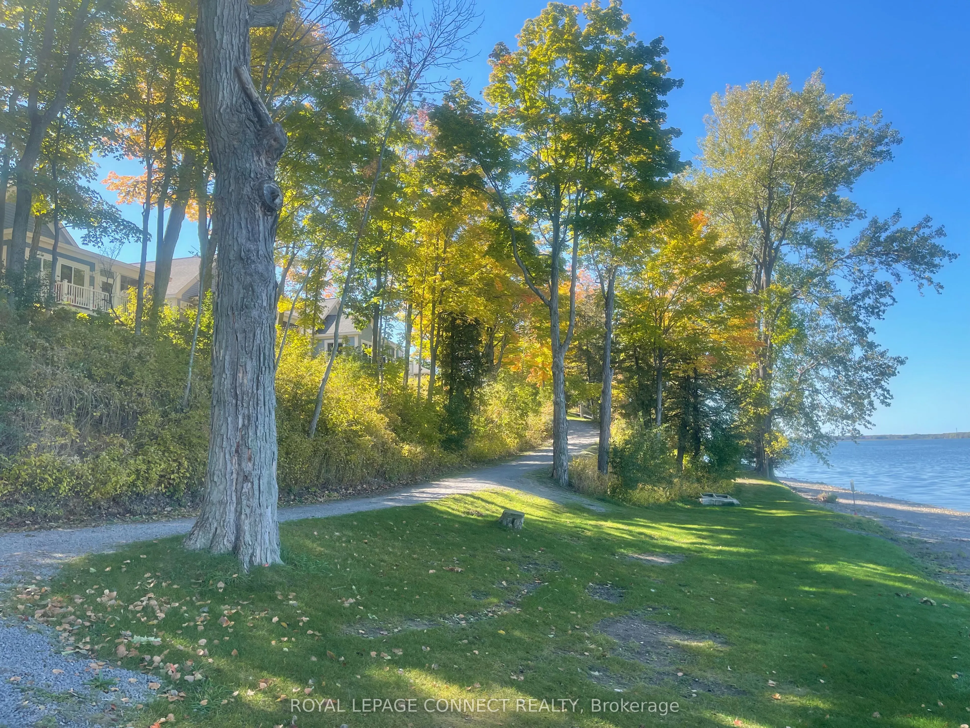 20 Butternut Lane, #98