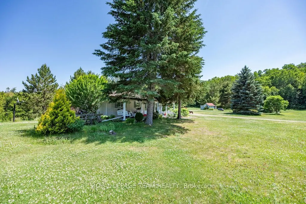 11462 Opeongo Road
