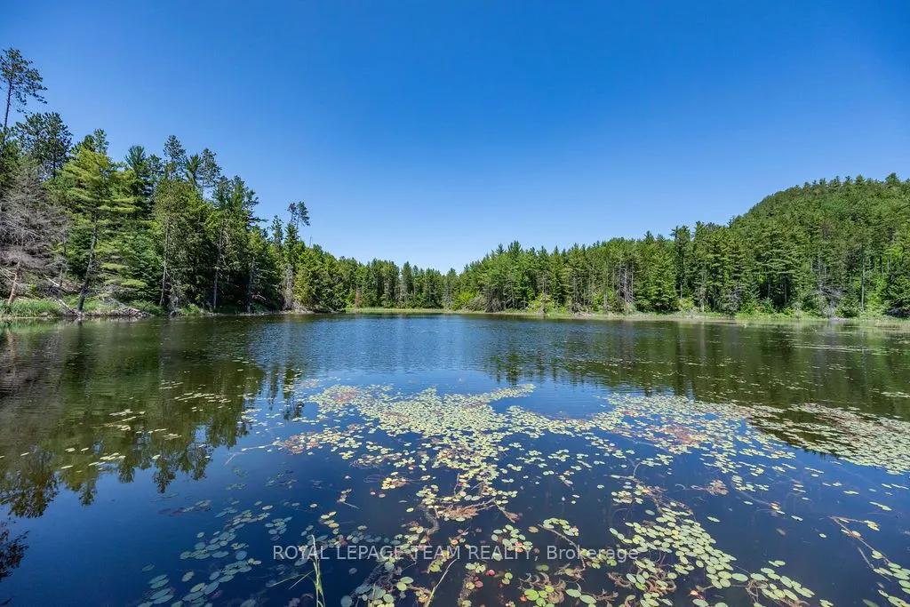 11462 Opeongo Road
