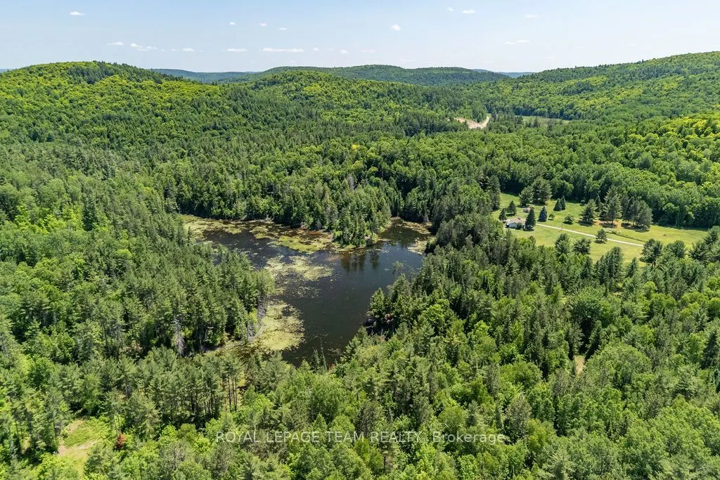11462 Opeongo Road
