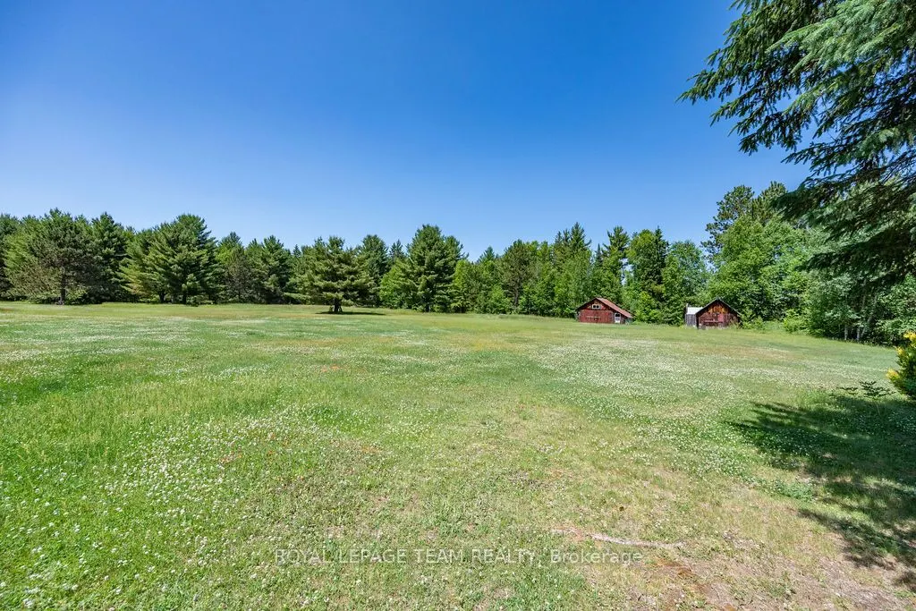 11462 Opeongo Road