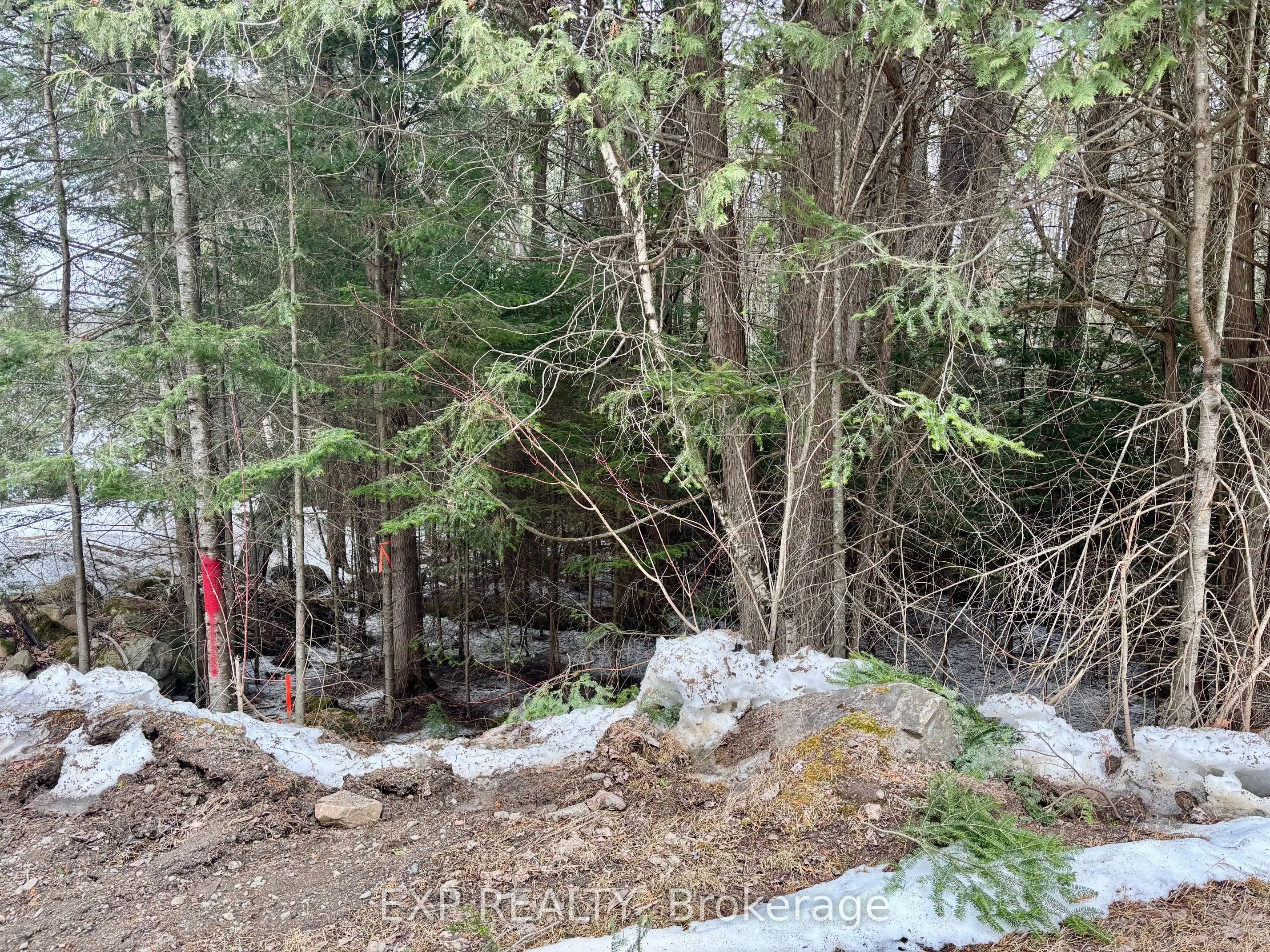 L 149-2 Arbor Vitae Road