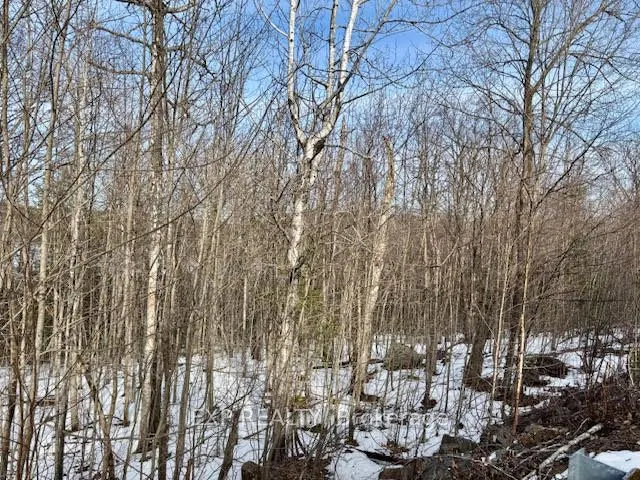 L 149-2 Arbor Vitae Road