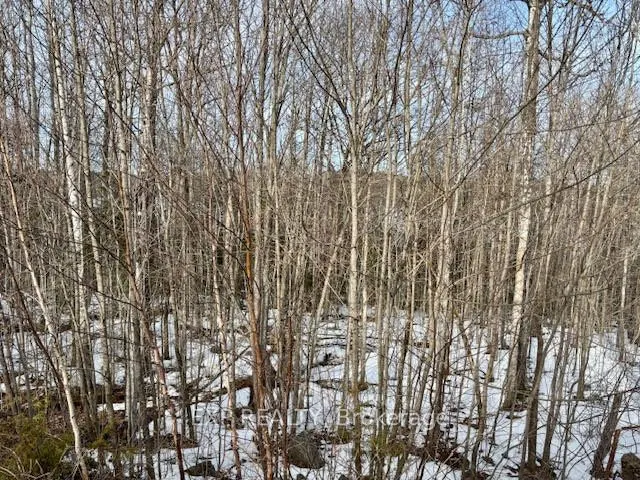L 149-2 Arbor Vitae Road