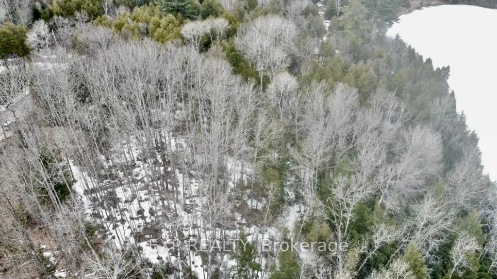 L 149-2 Arbor Vitae Road