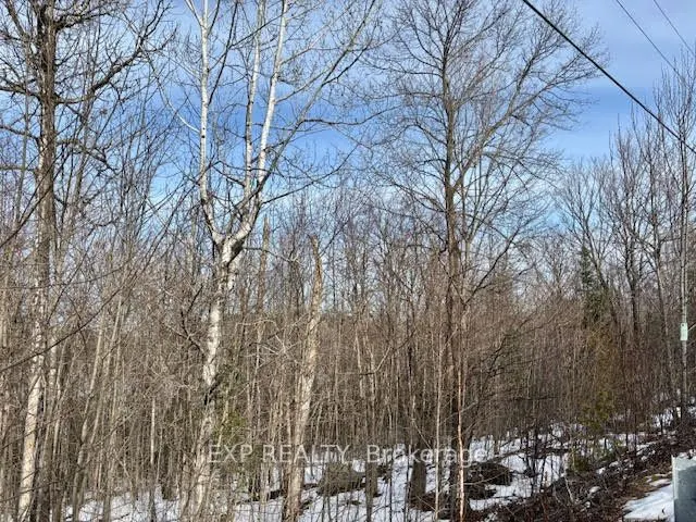 L 149-2 Arbor Vitae Road