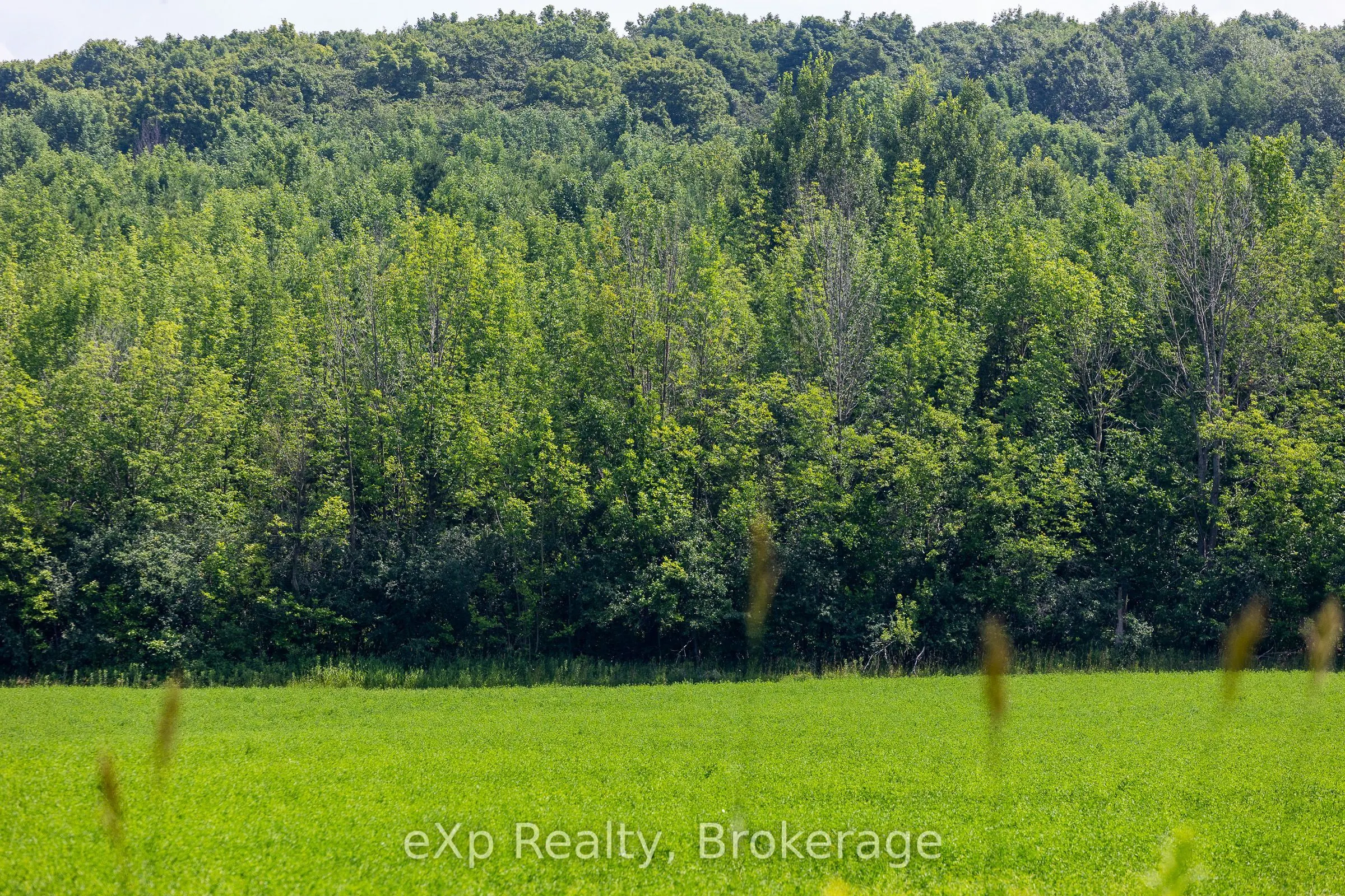 CON 11 PT LOT 7, Sideroad 8