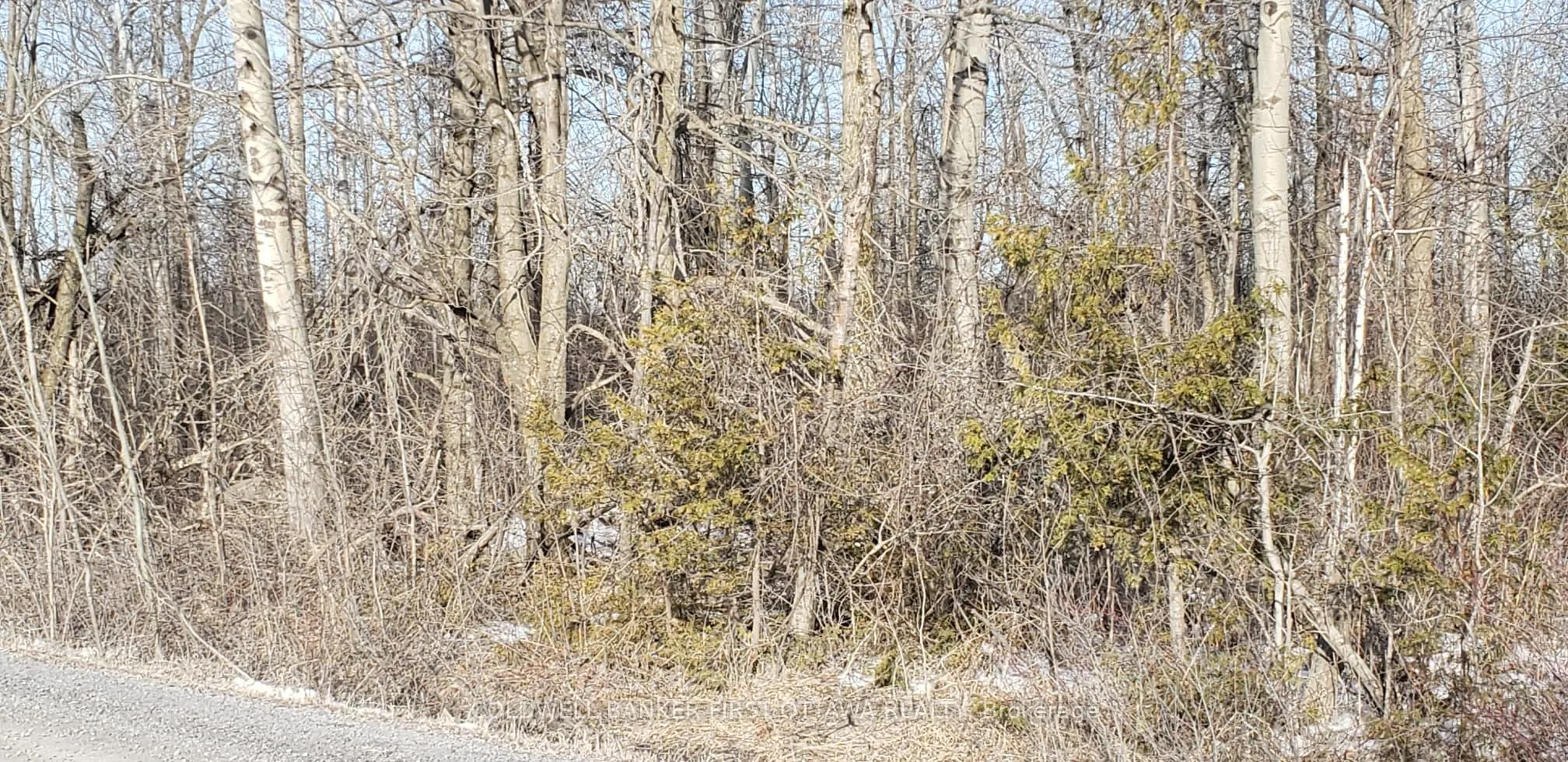 7500 SPRINGHILL Road
