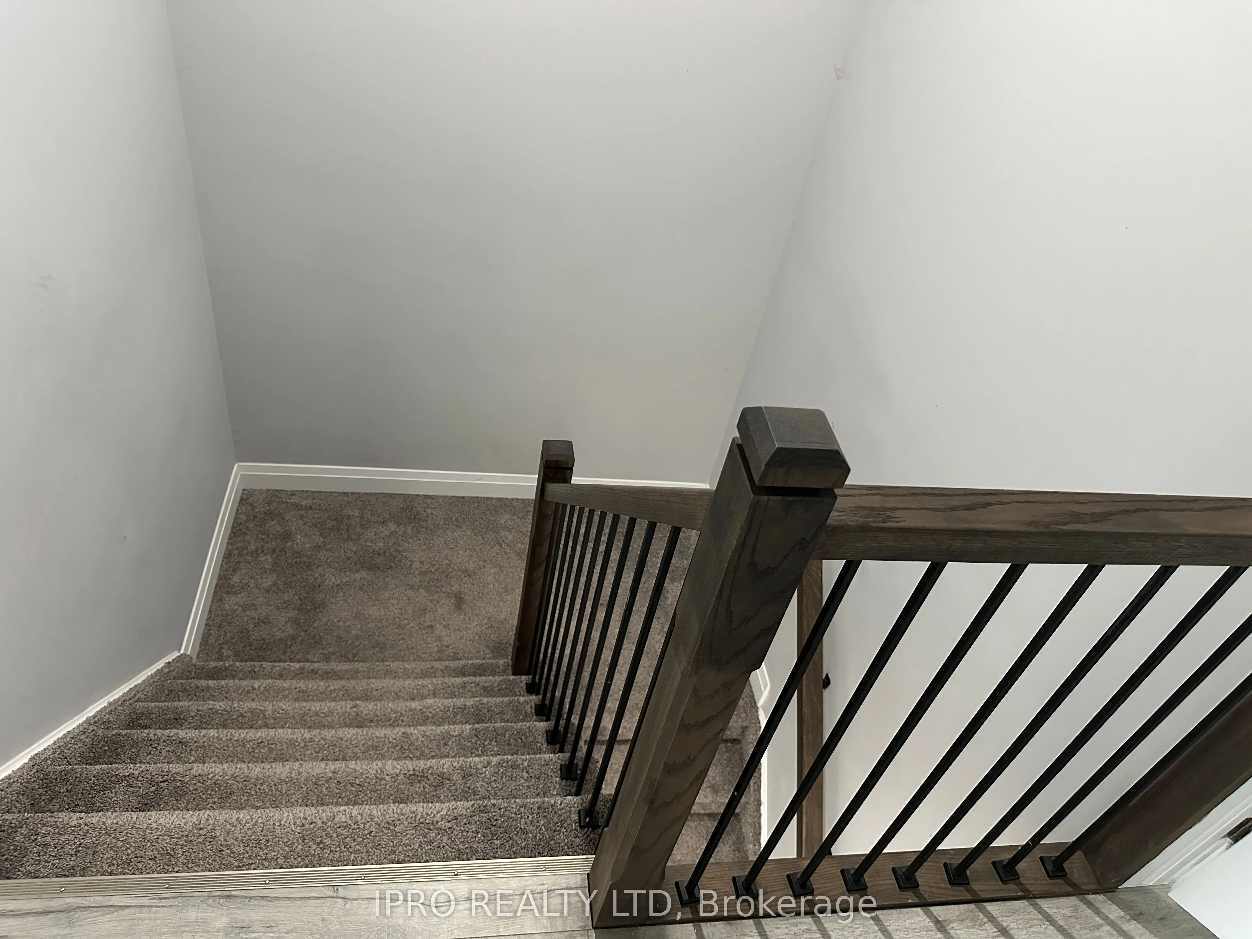61 Vienna Road #1