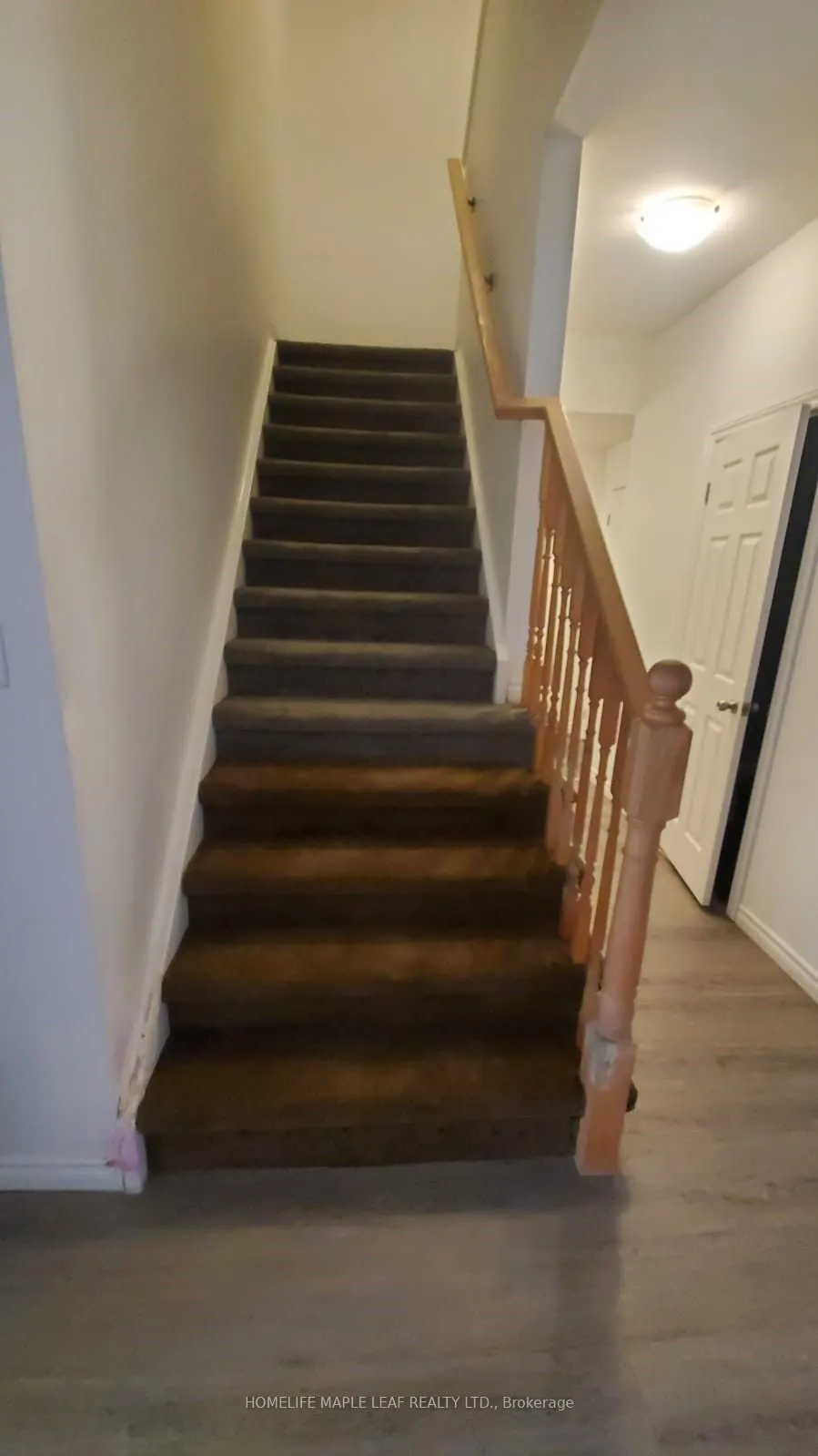19 Saddlebrook Court