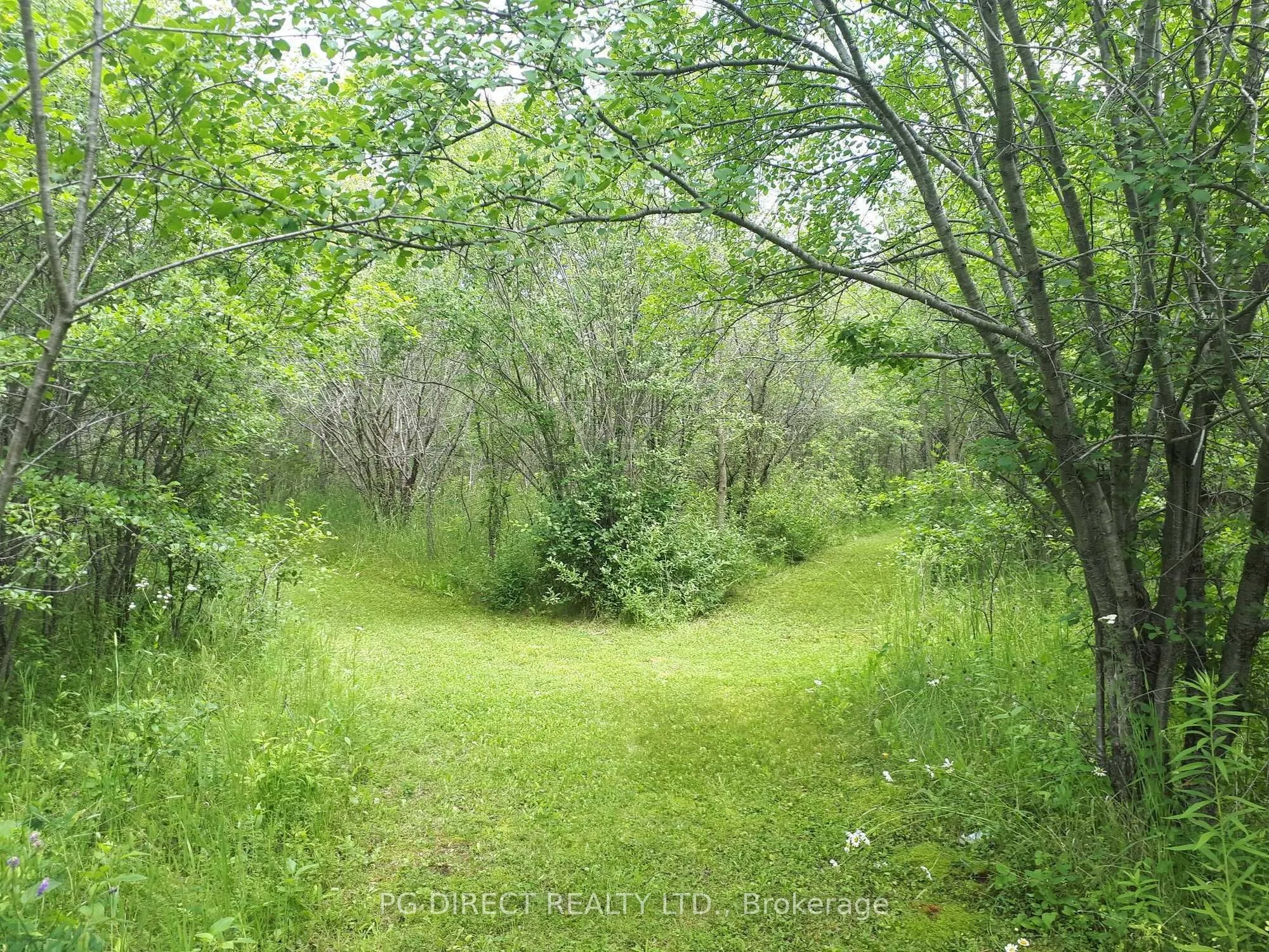 209 Hiscock Shores Road