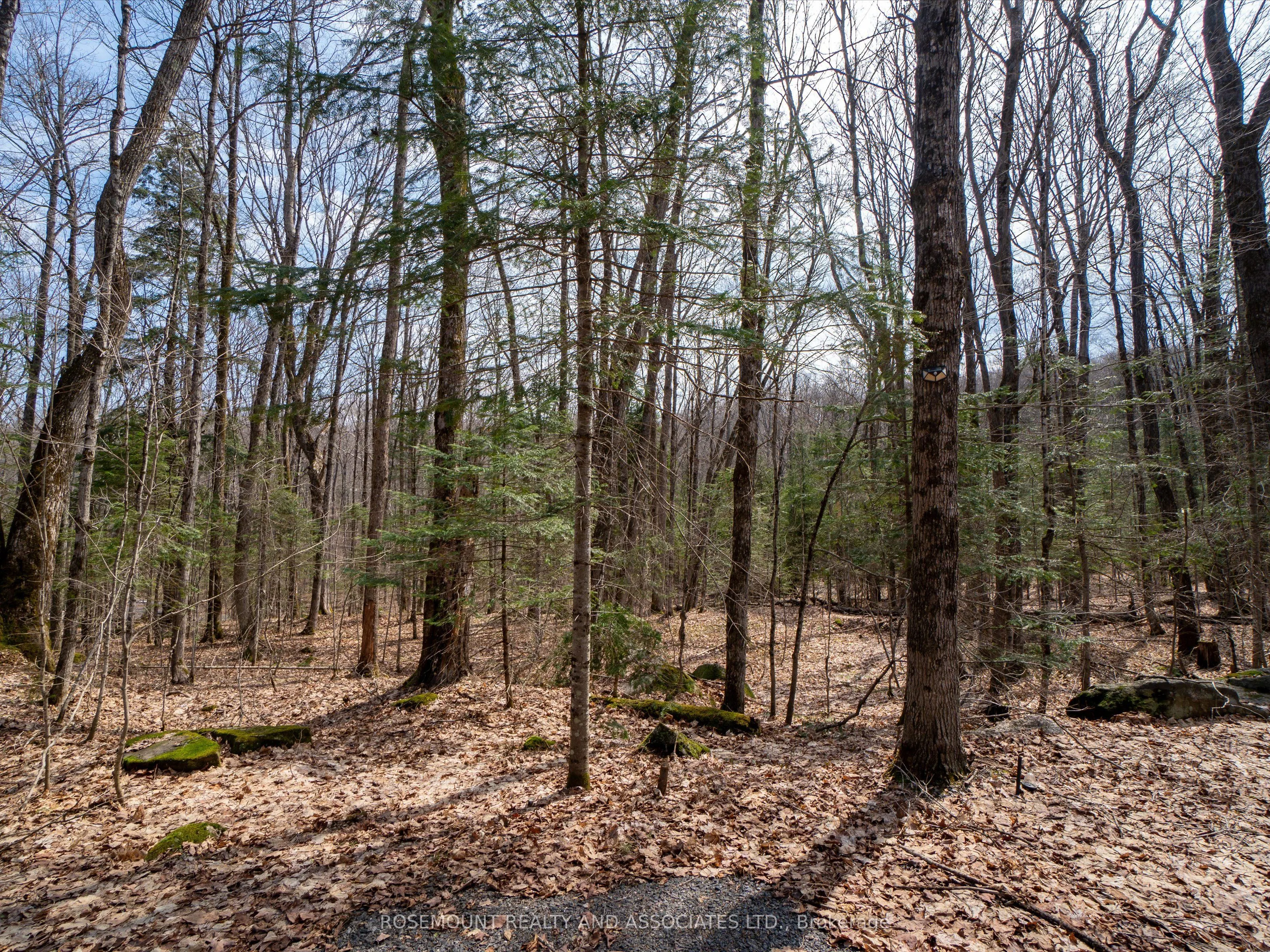 1106 Delia Road