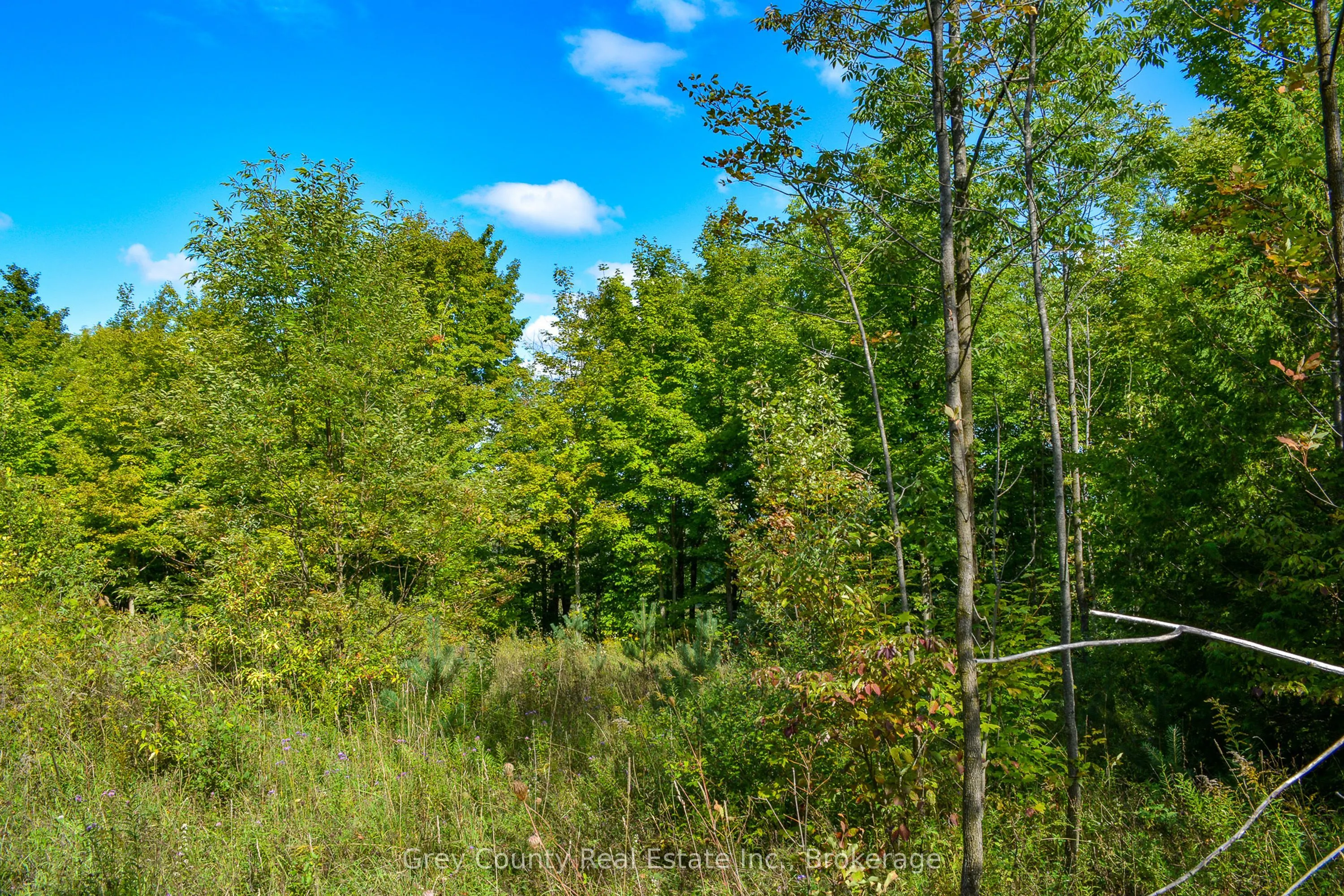 396436 Concession 2
