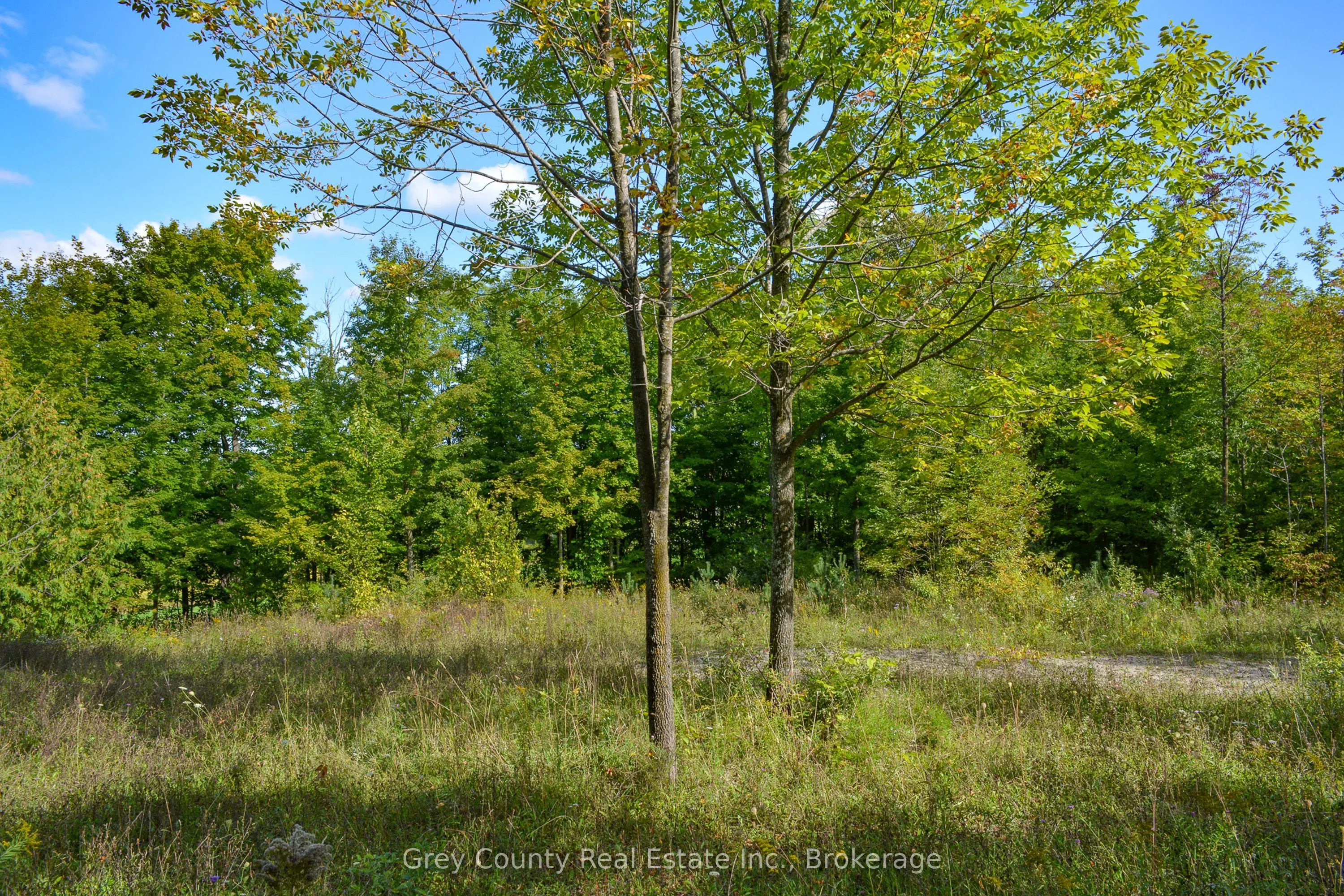 396436 Concession 2