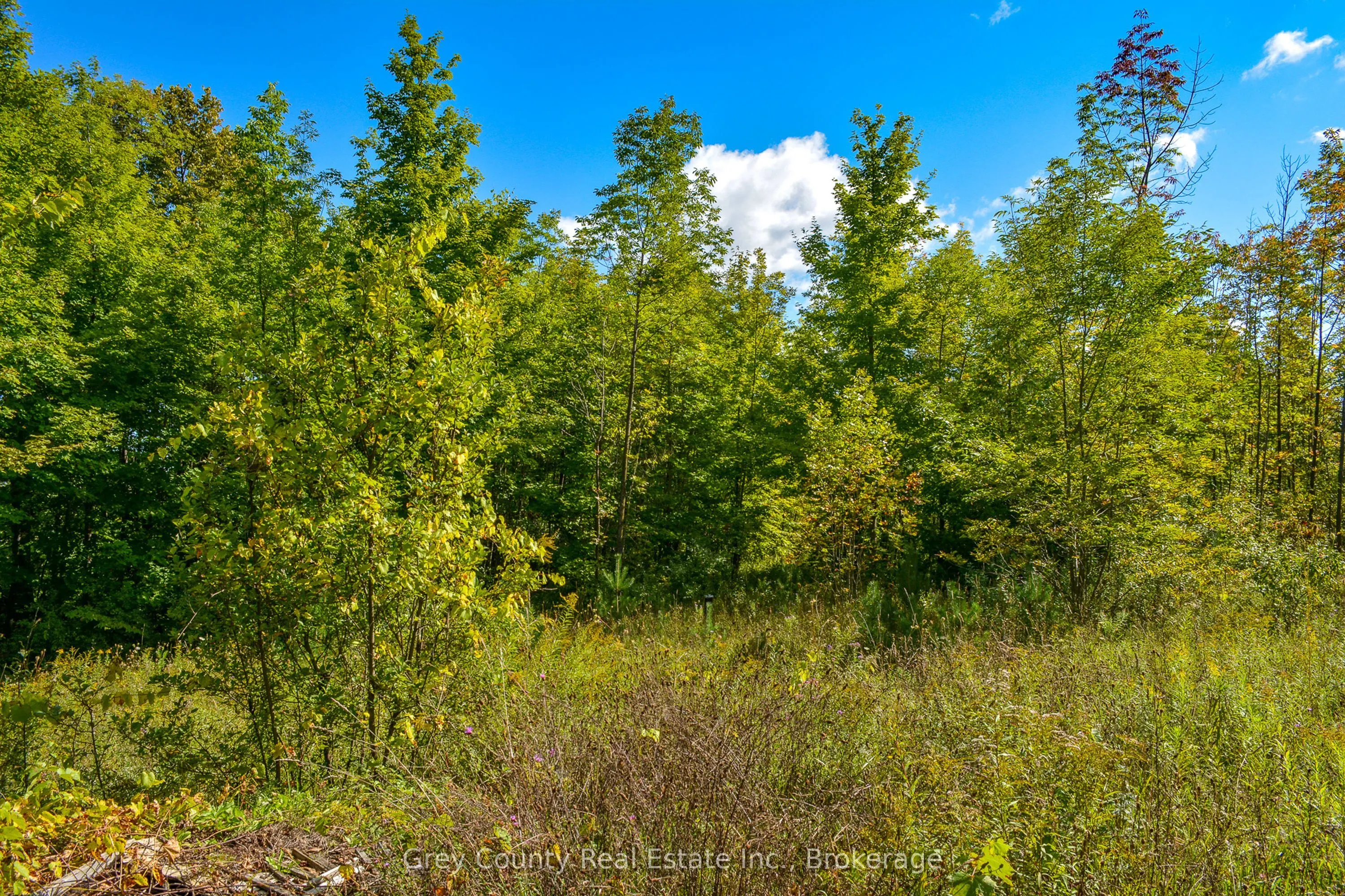 396436 Concession 2