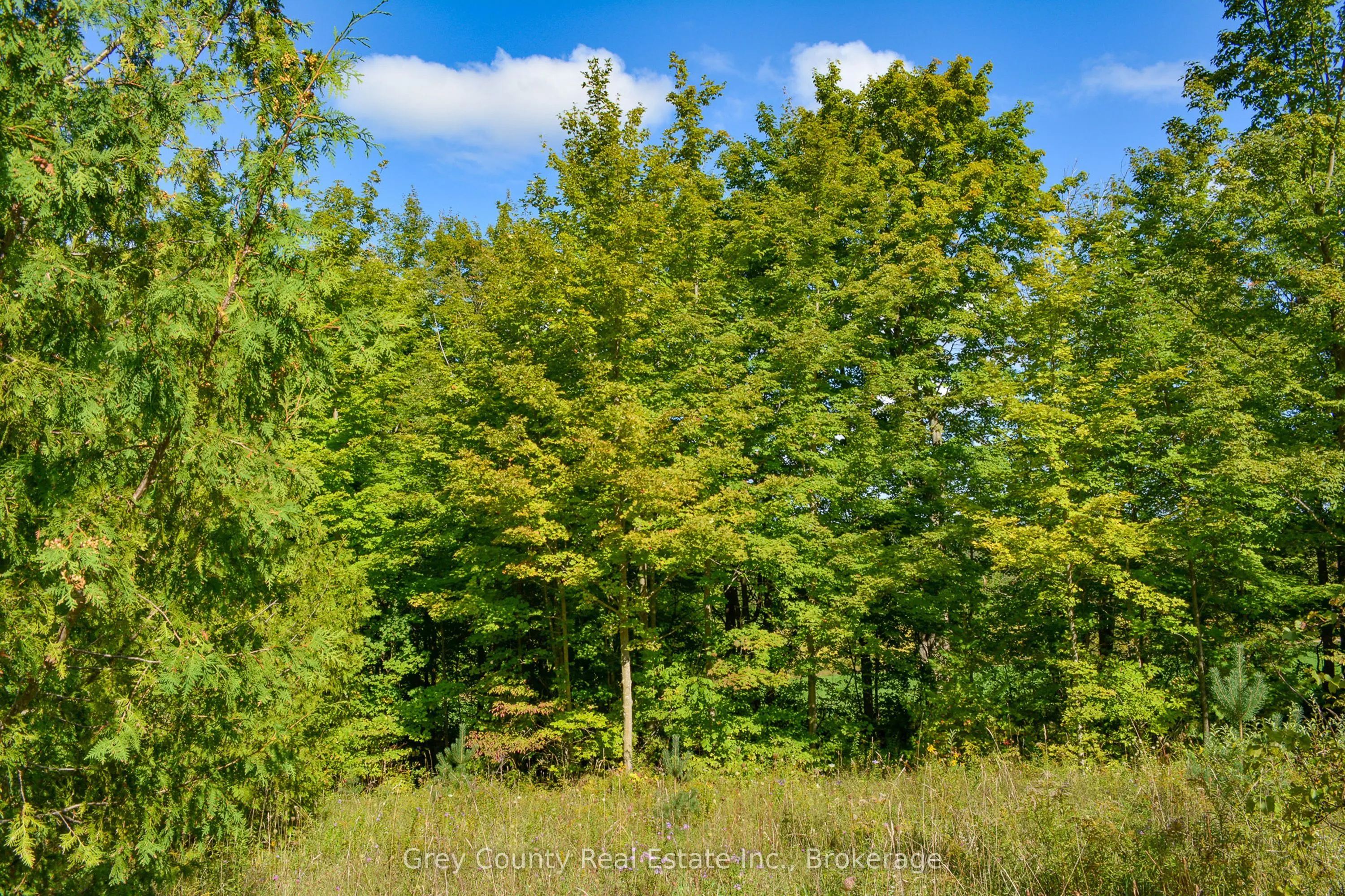 396436 Concession 2