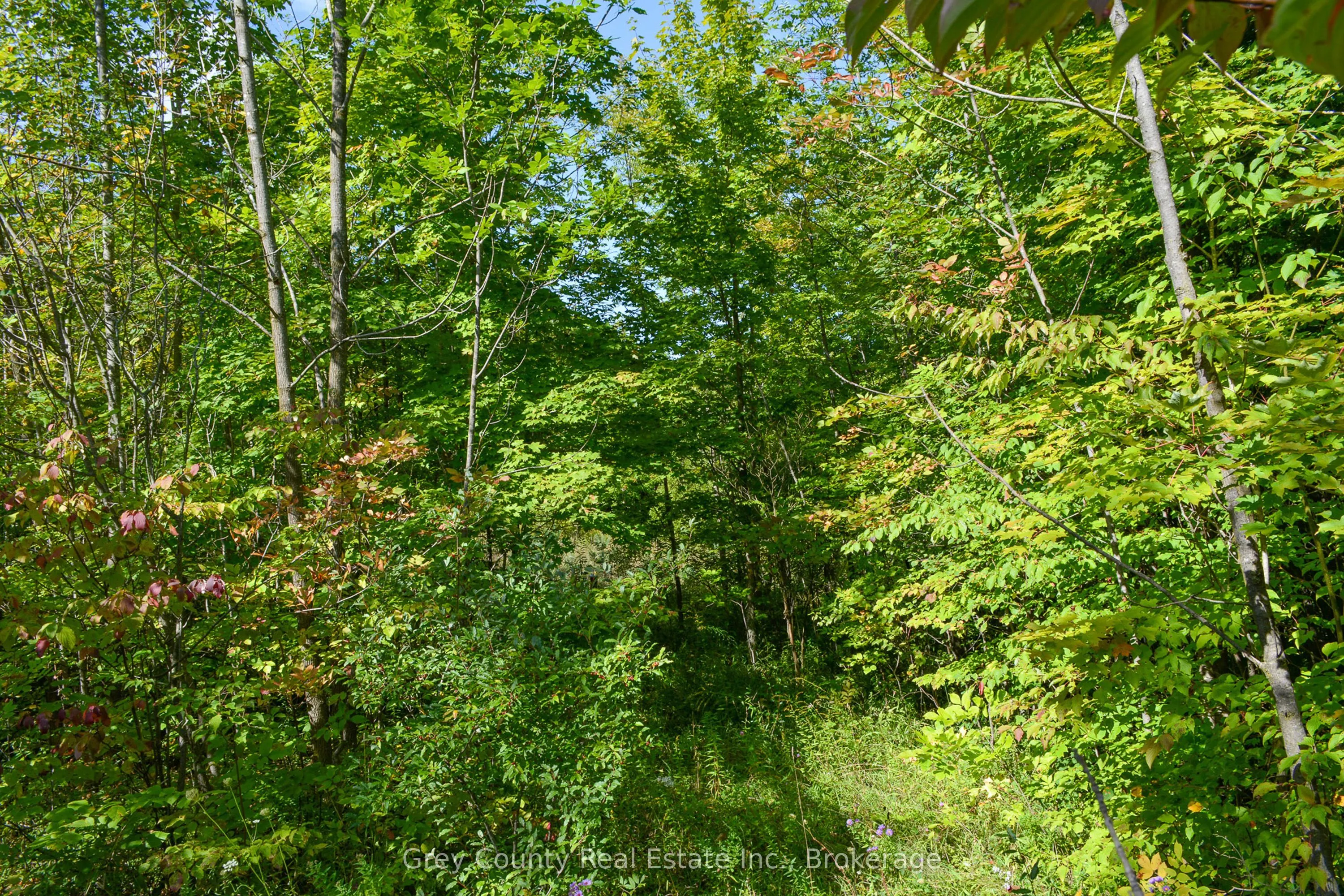 396436 Concession 2