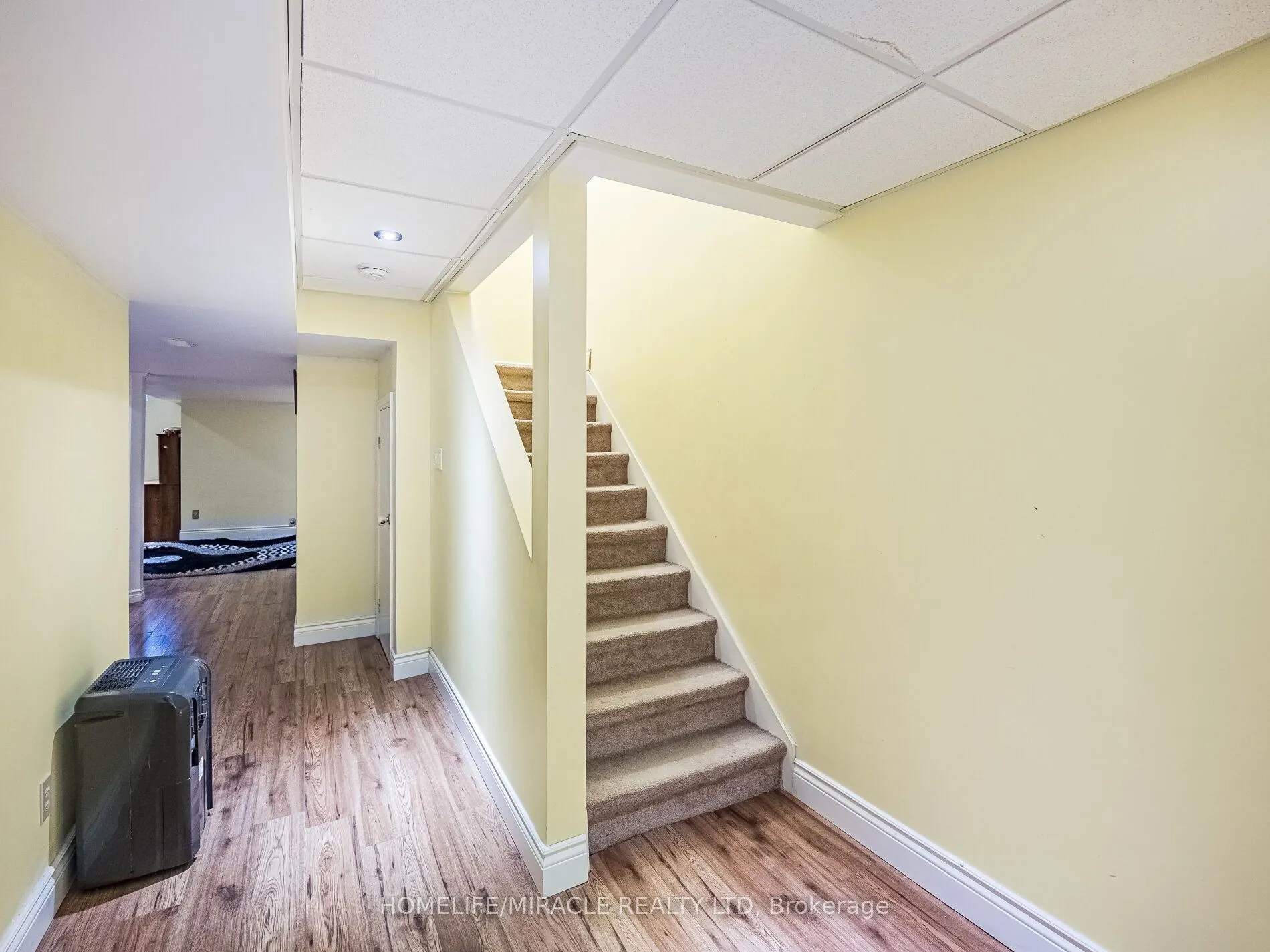 238 Candlewood Drive