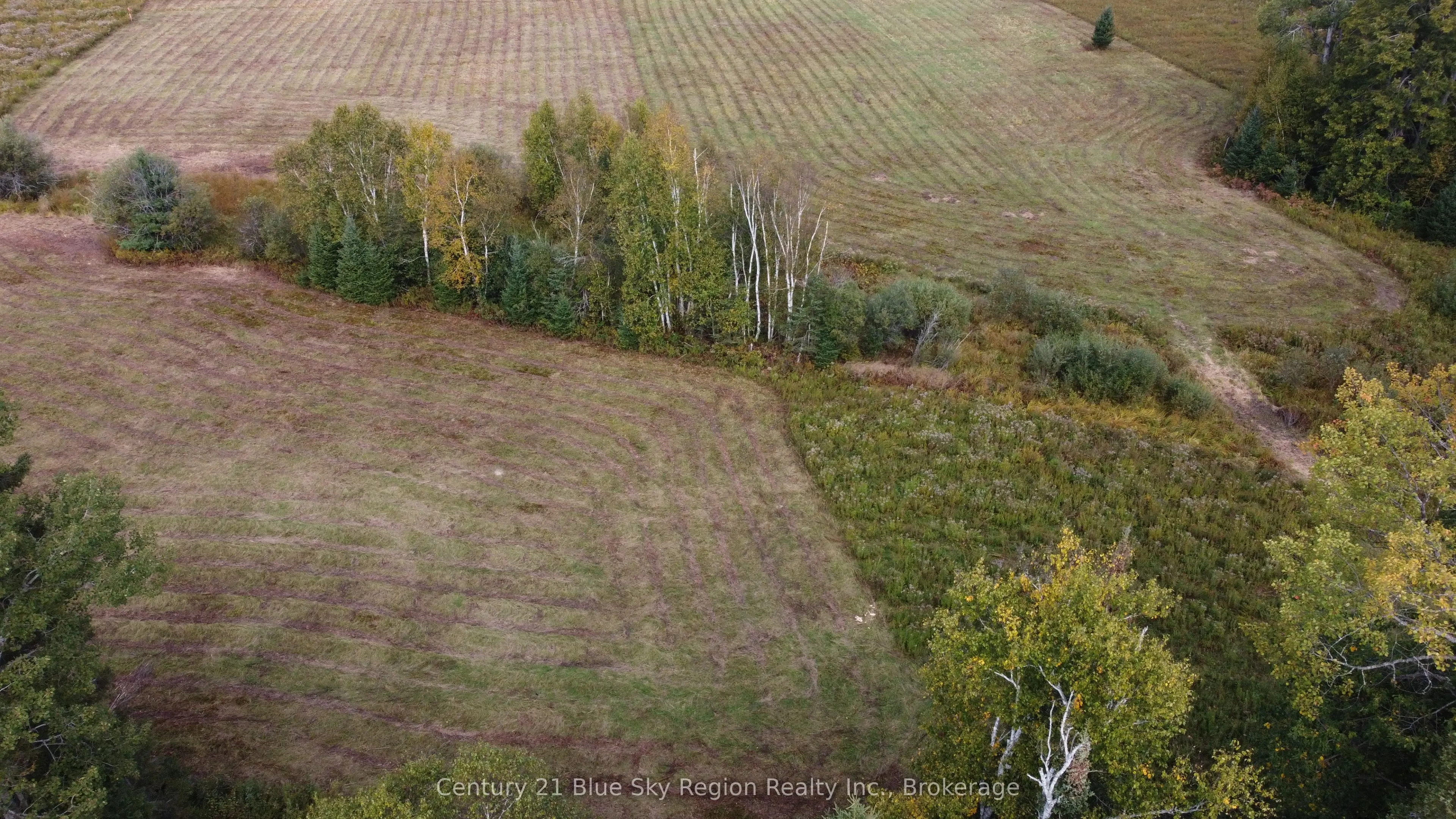 4197 HIGHWAY 654