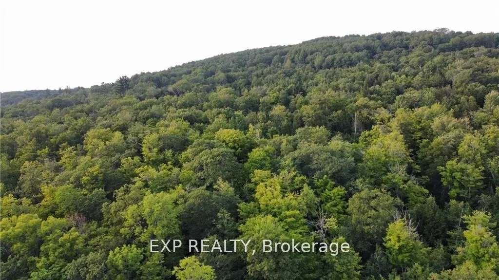 Lot A Chippawa Road