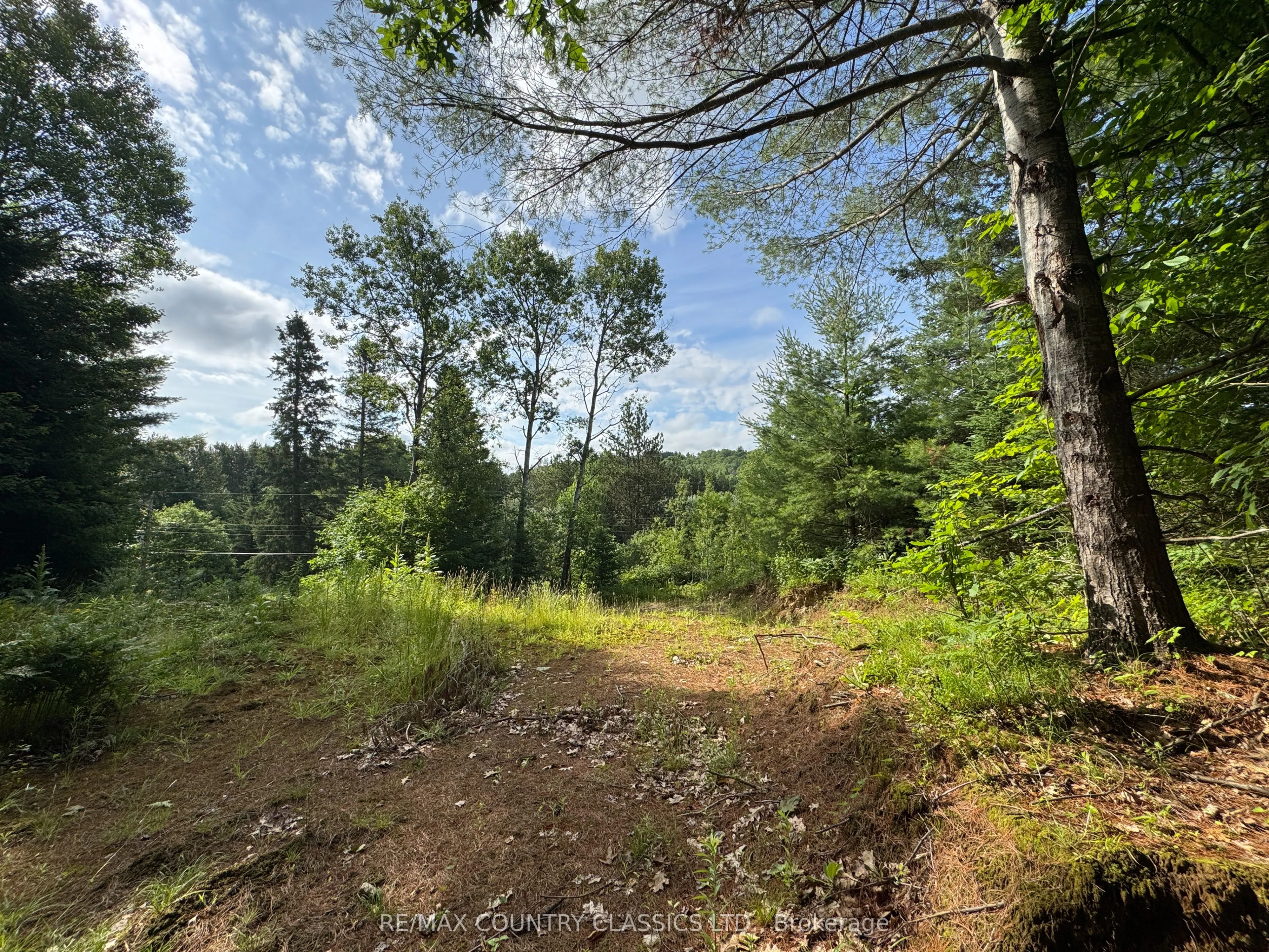 178 Gaebel Road