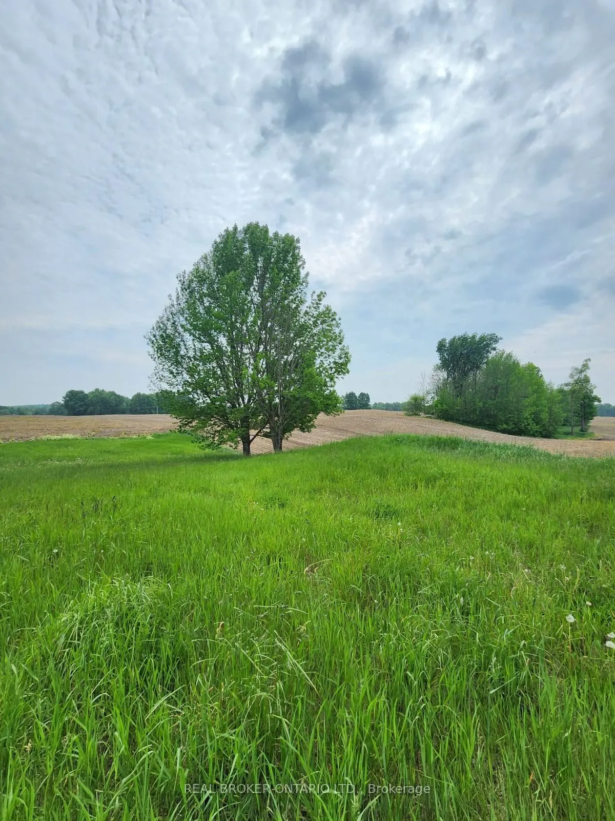 316486 6 Highway