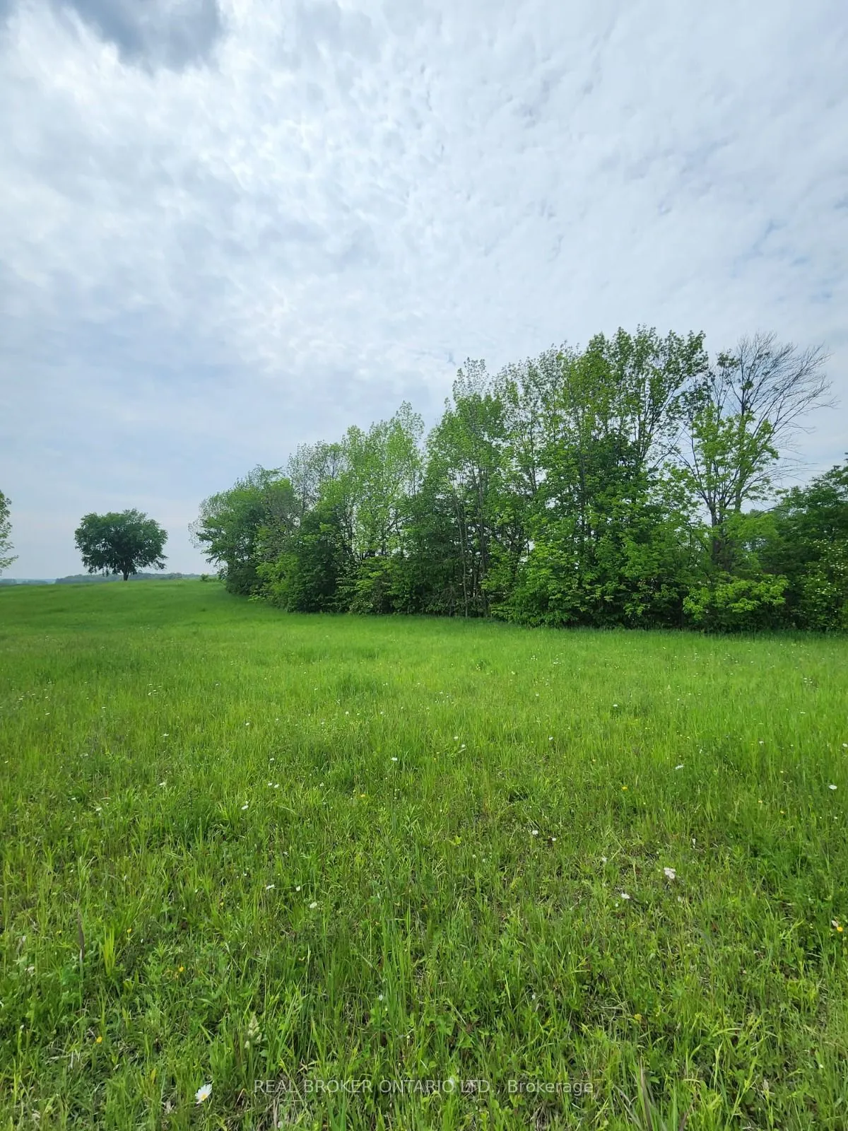 316486 6 Highway
