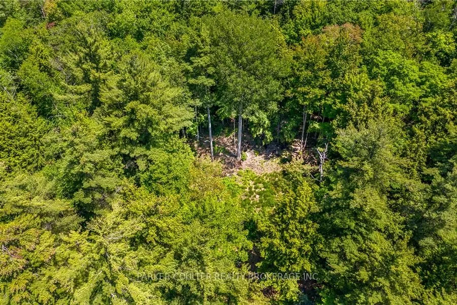 29 Bear Lake Road