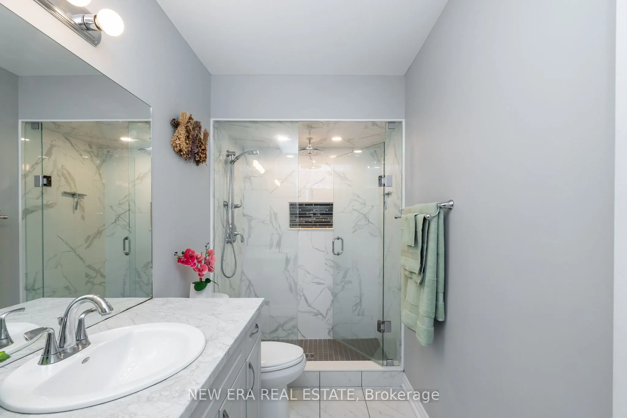 67 Cortland Way
