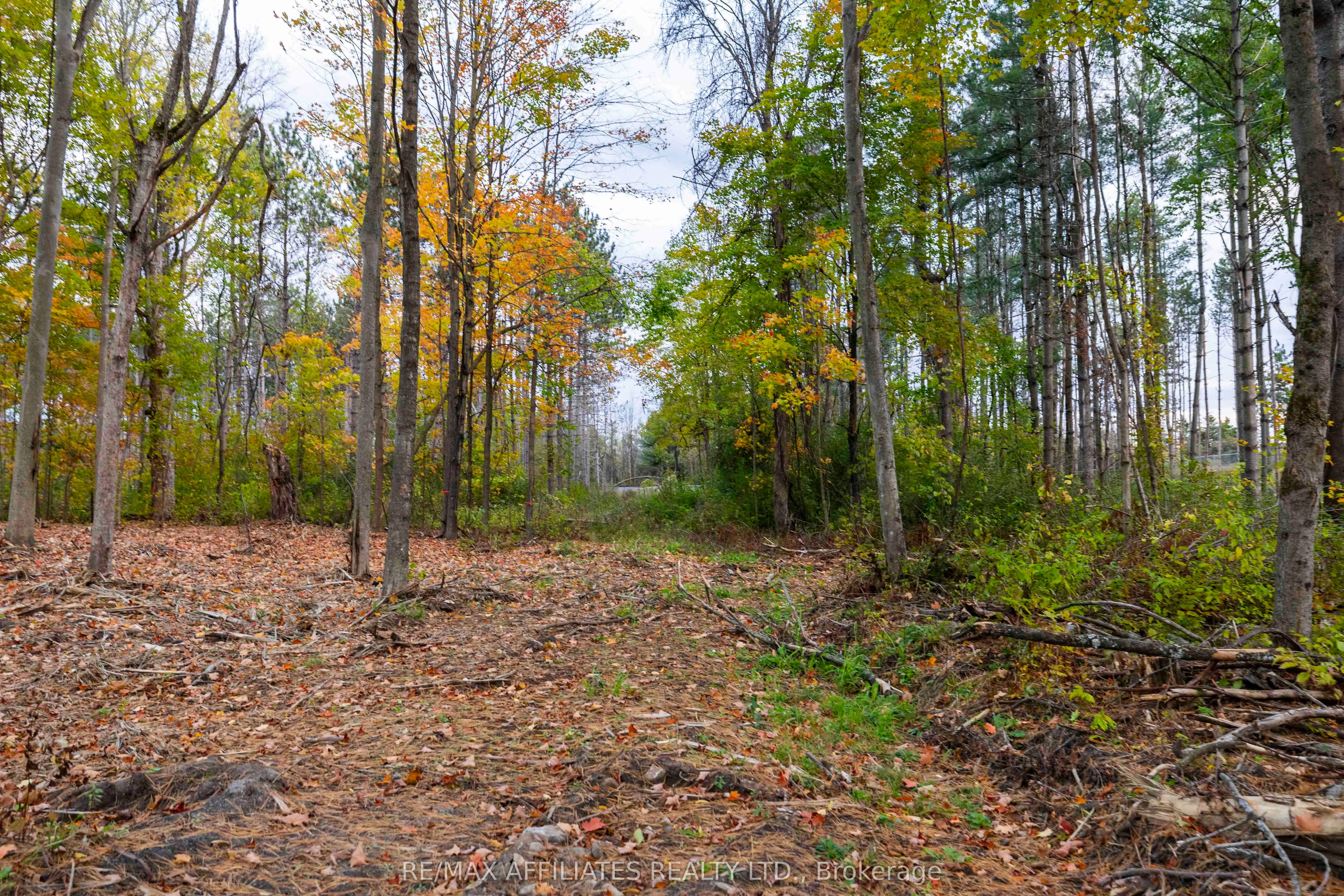 420 Butler Farm Road