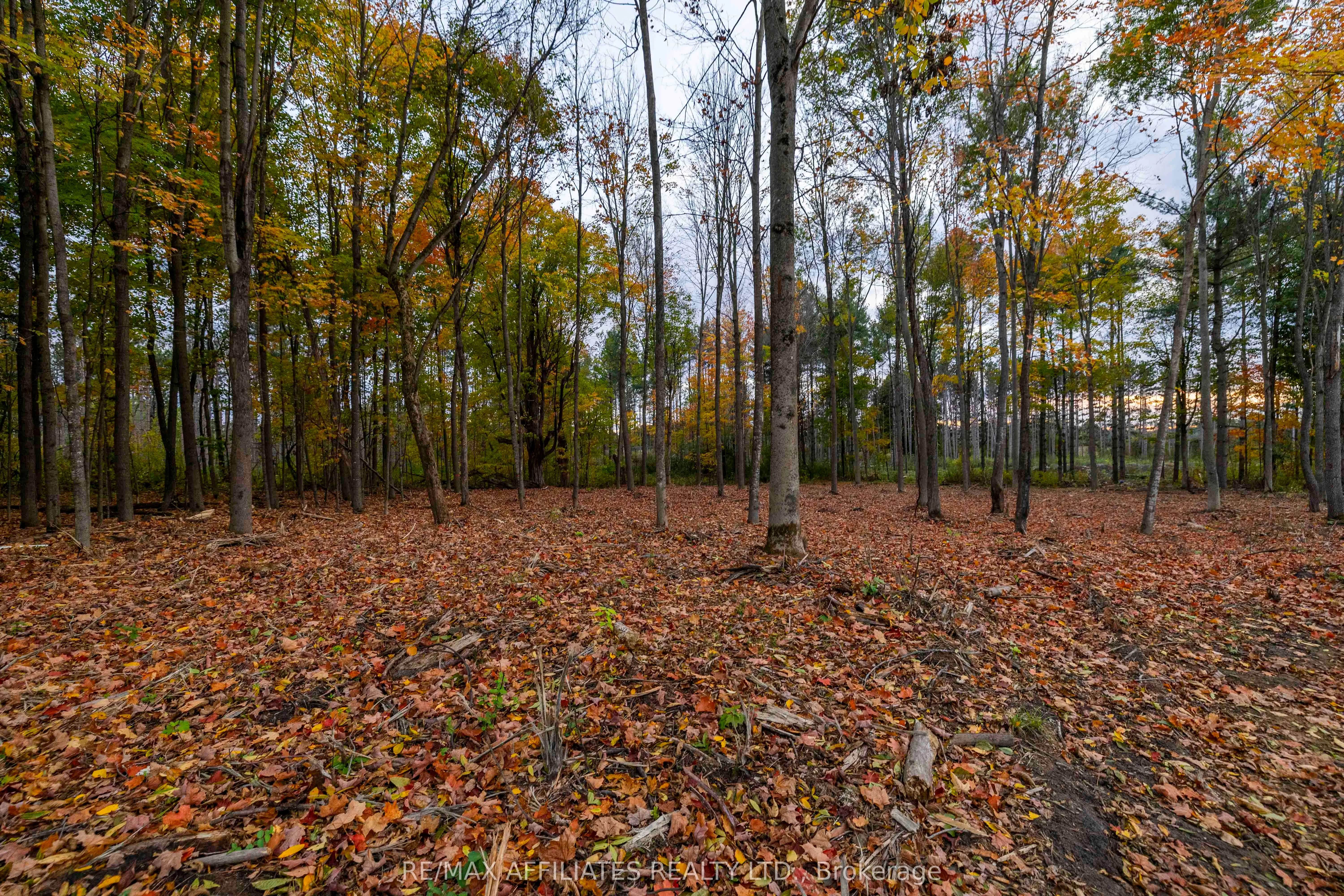 420 Butler Farm Road