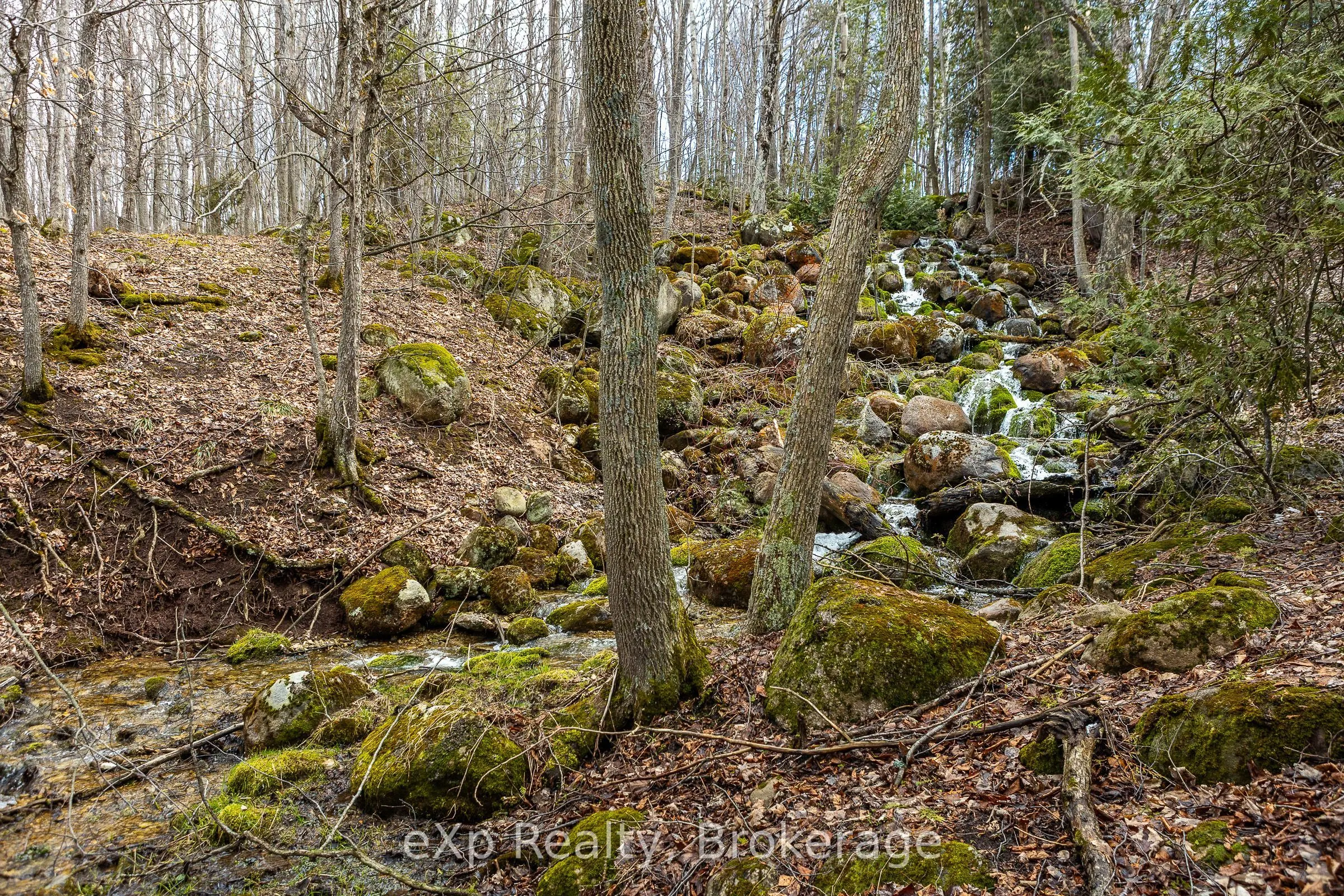 PTLT 29 CON 1S, St. Vincent-Sydenham Townline