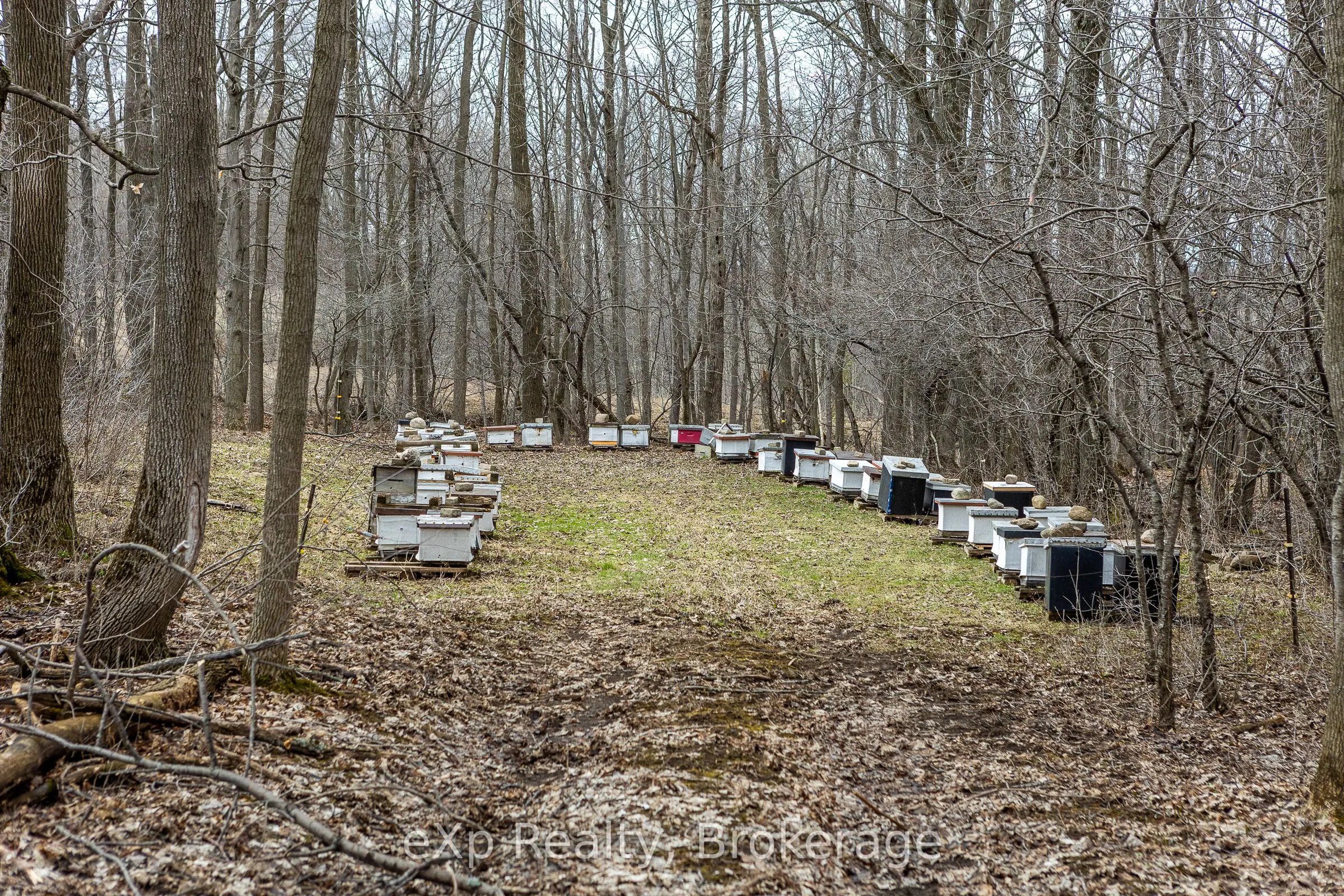 PTLT 29 CON 1S, St. Vincent-Sydenham Townline