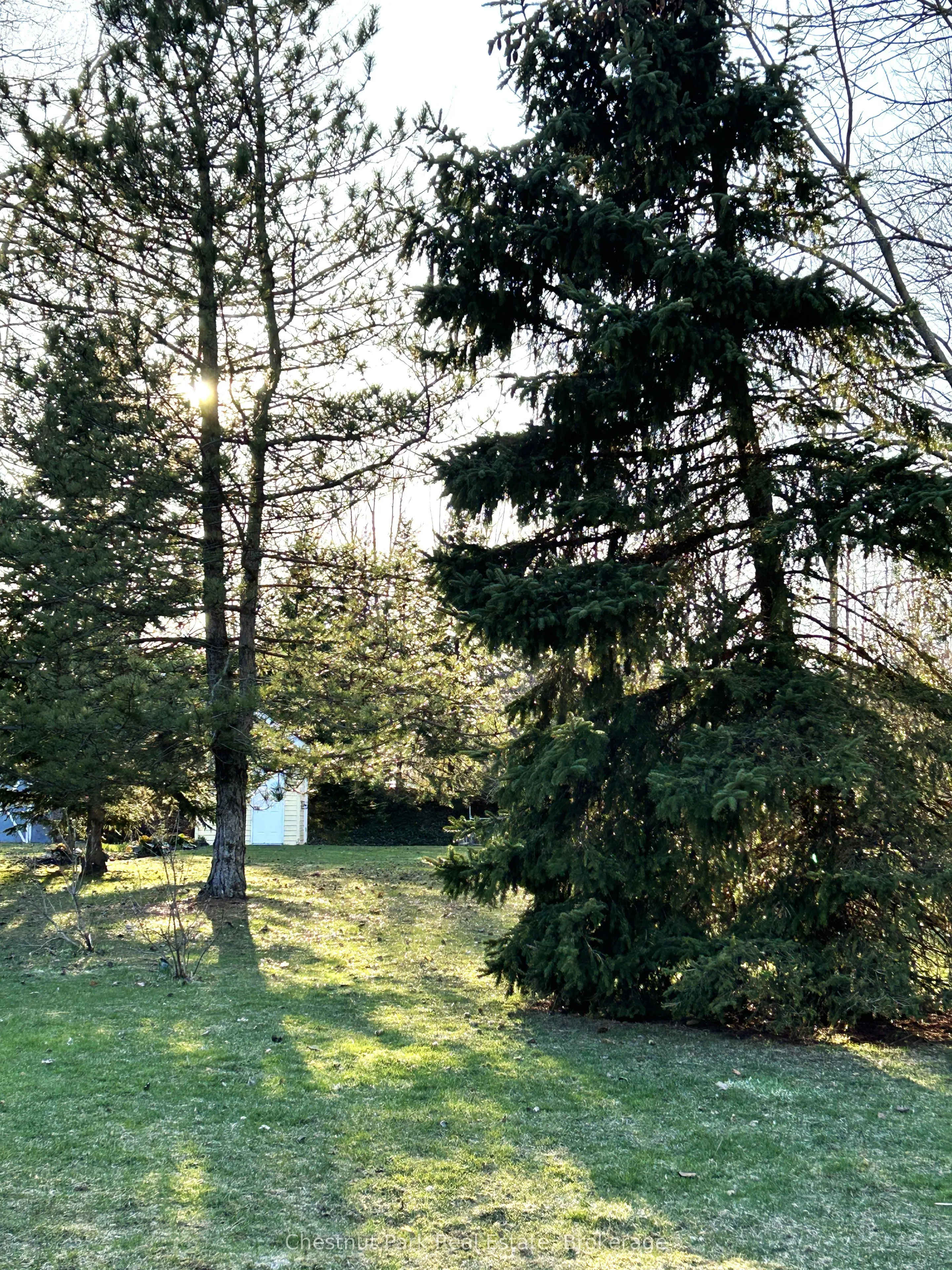 13 Pollard Drive