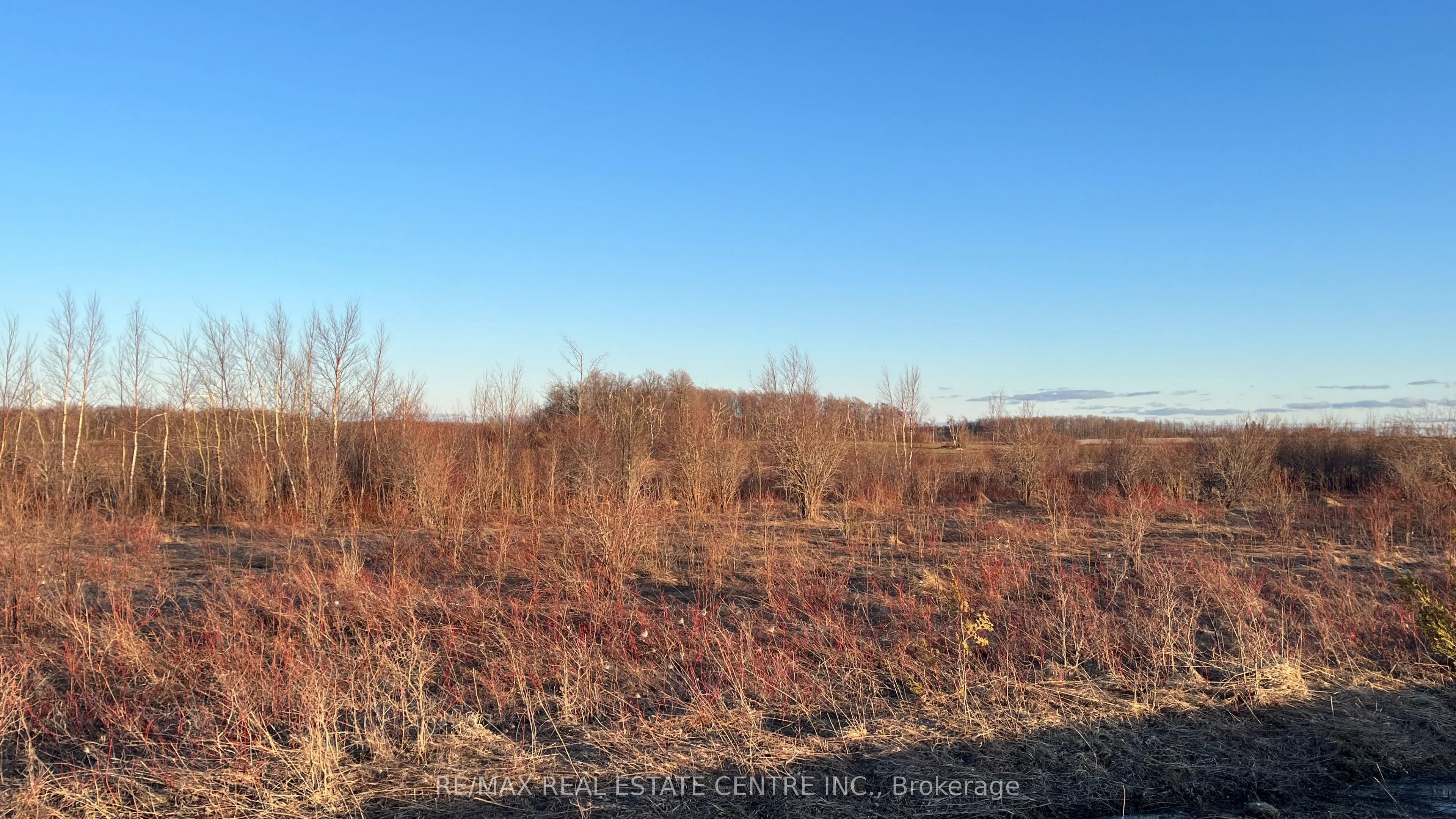 681044 260 Side Road
